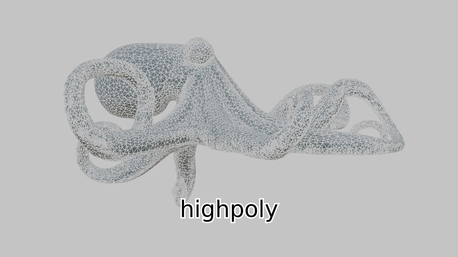 Realistic Octopus Sea Creature Model for 3D Rendering Low-poly 3D model_13