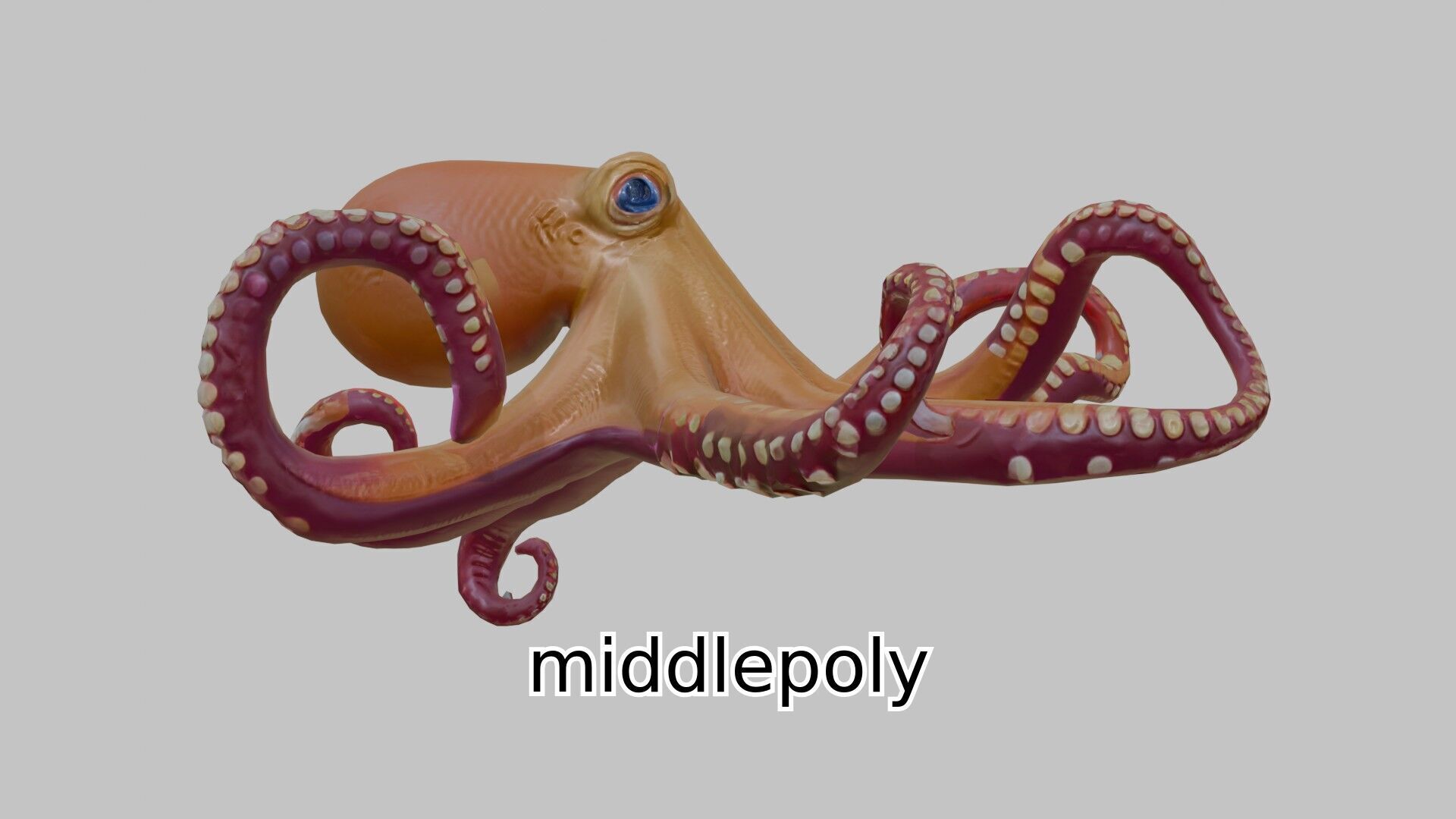 Realistic Octopus Sea Creature Model for 3D Rendering Low-poly 3D model_1
