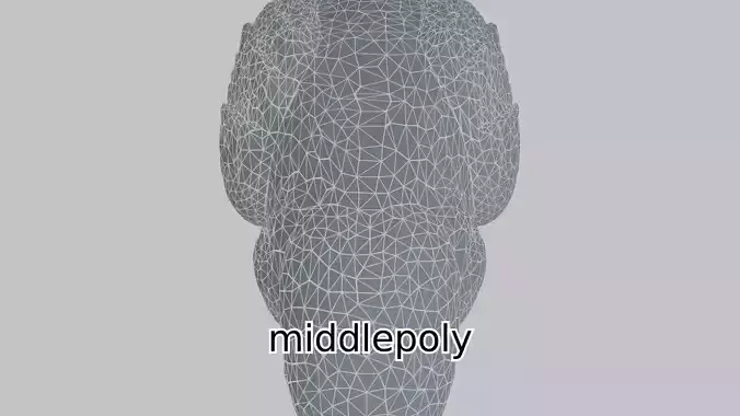 Vibrant Parrot 3D Model with Detailed Feathers