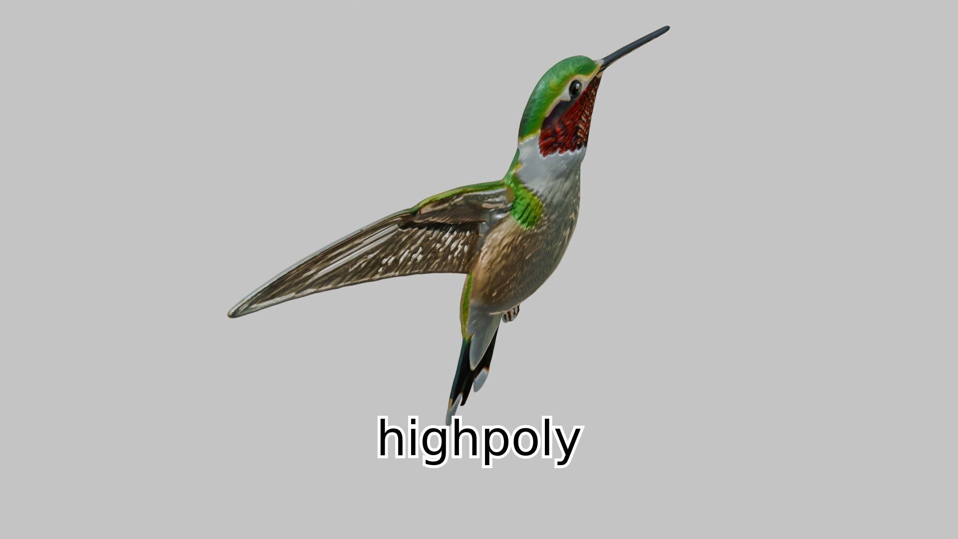 Ruby-Throated Hummingbird Realistic 3D Model Low-poly 3D model_12