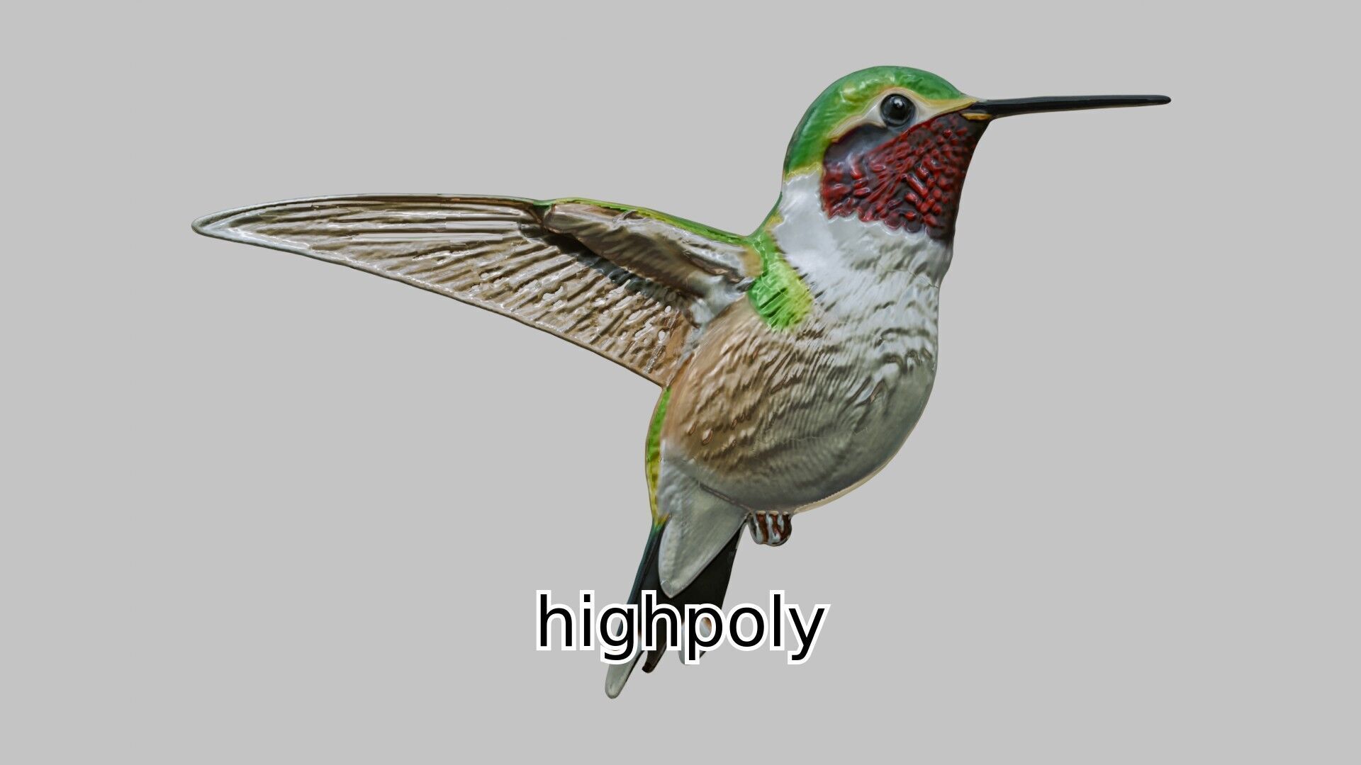 Ruby-Throated Hummingbird Realistic 3D Model Low-poly 3D model_9