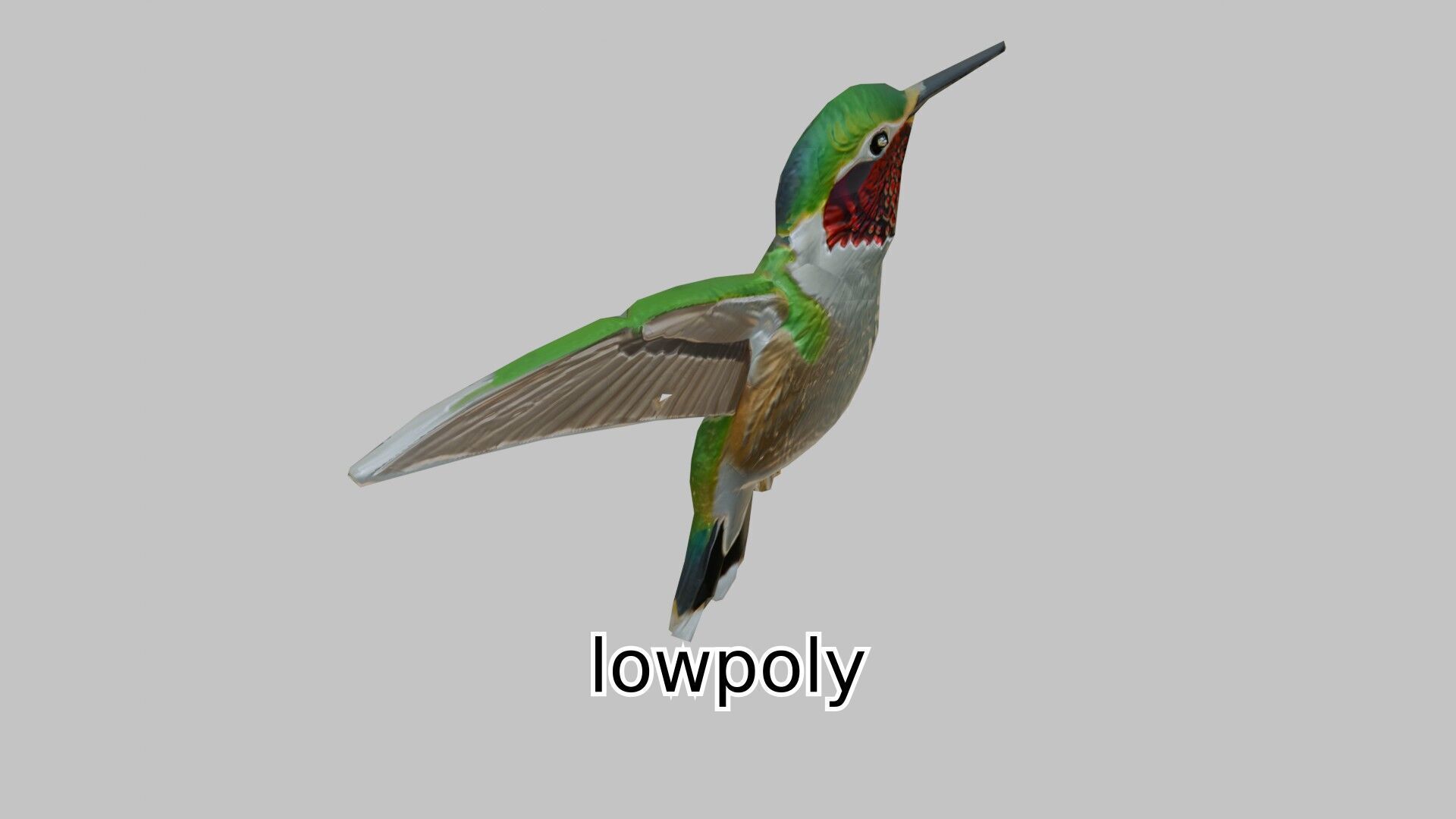 Ruby-Throated Hummingbird Realistic 3D Model Low-poly 3D model_23
