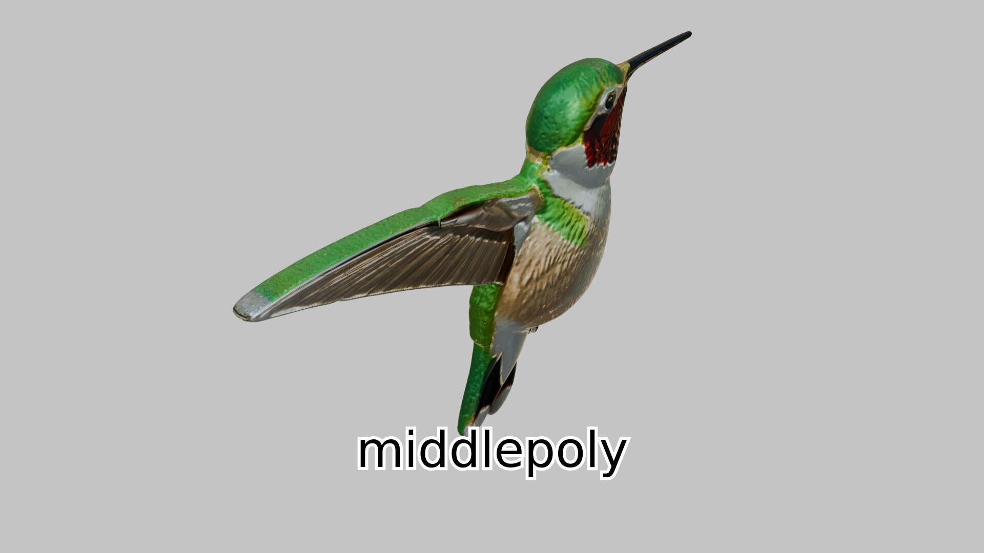 Ruby-Throated Hummingbird Realistic 3D Model Low-poly 3D model_7