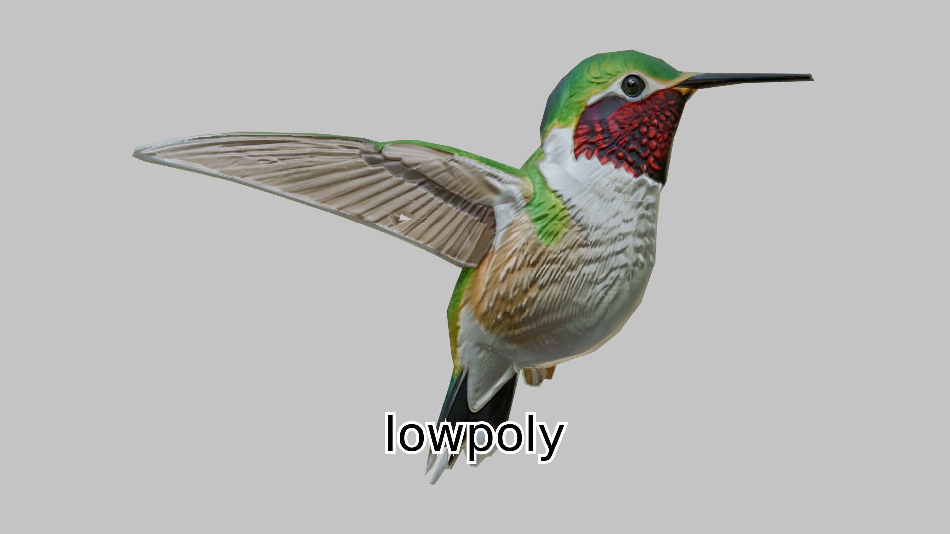 Ruby-Throated Hummingbird Realistic 3D Model Low-poly 3D model_17