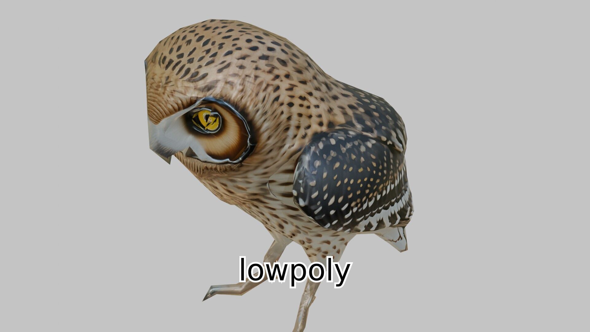 Realistic Owl Bird Character 3D Model Low-poly 3D model_19