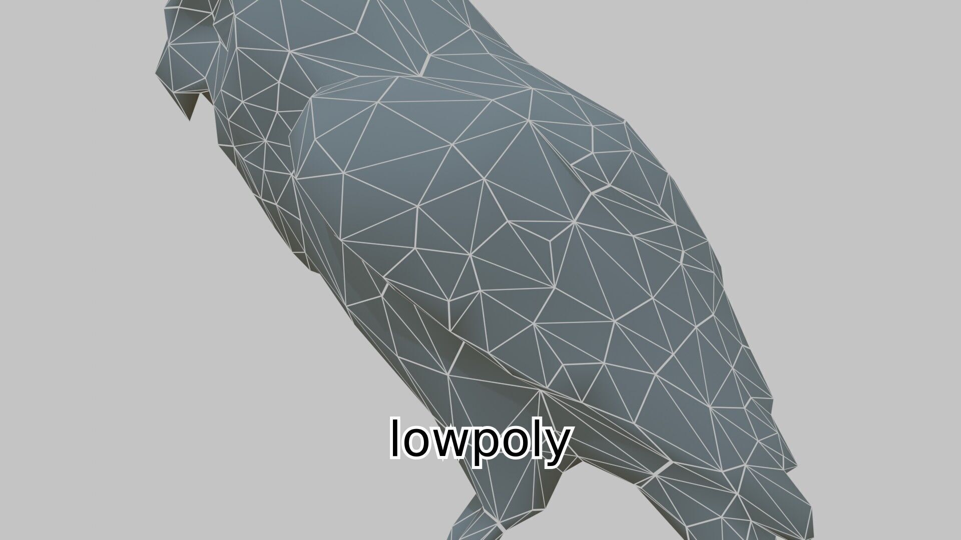 Realistic Owl Bird Character 3D Model Low-poly 3D model_21