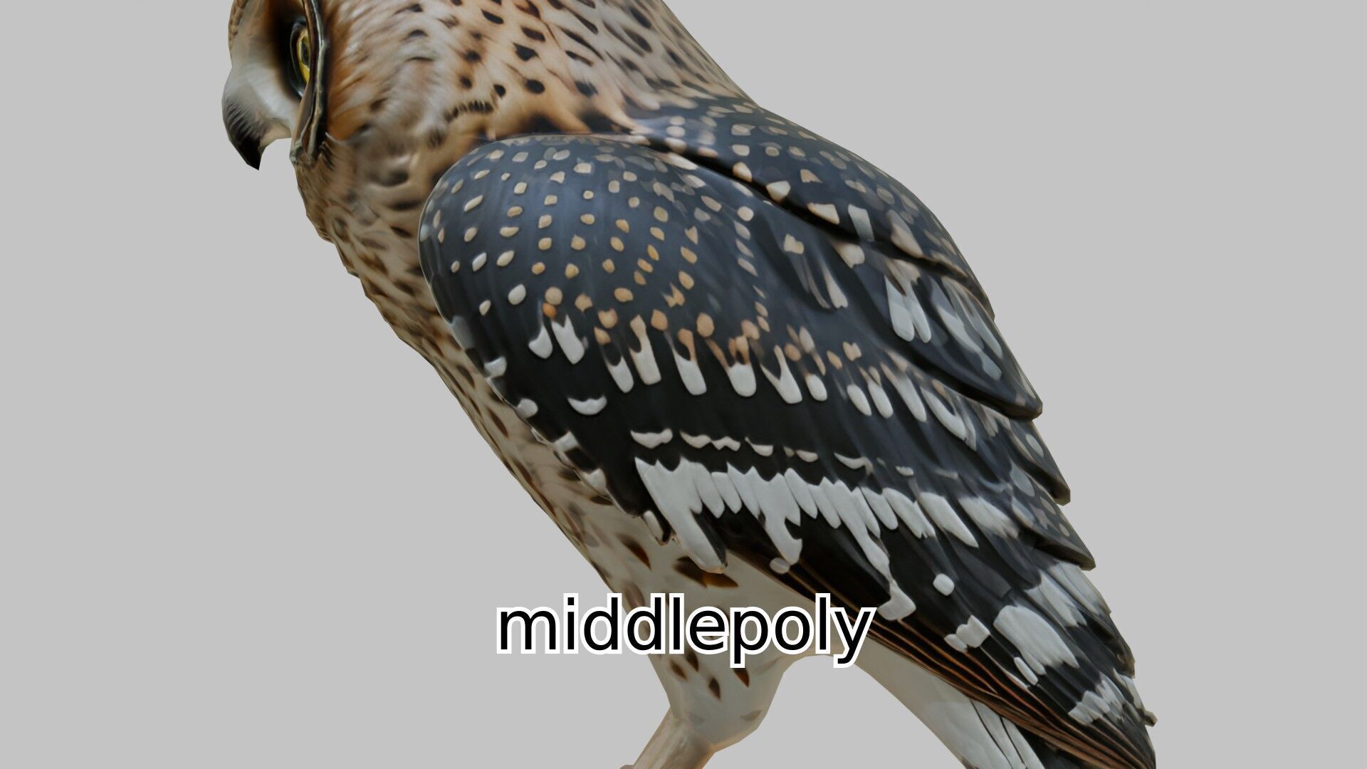 Realistic Owl Bird Character 3D Model Low-poly 3D model_1