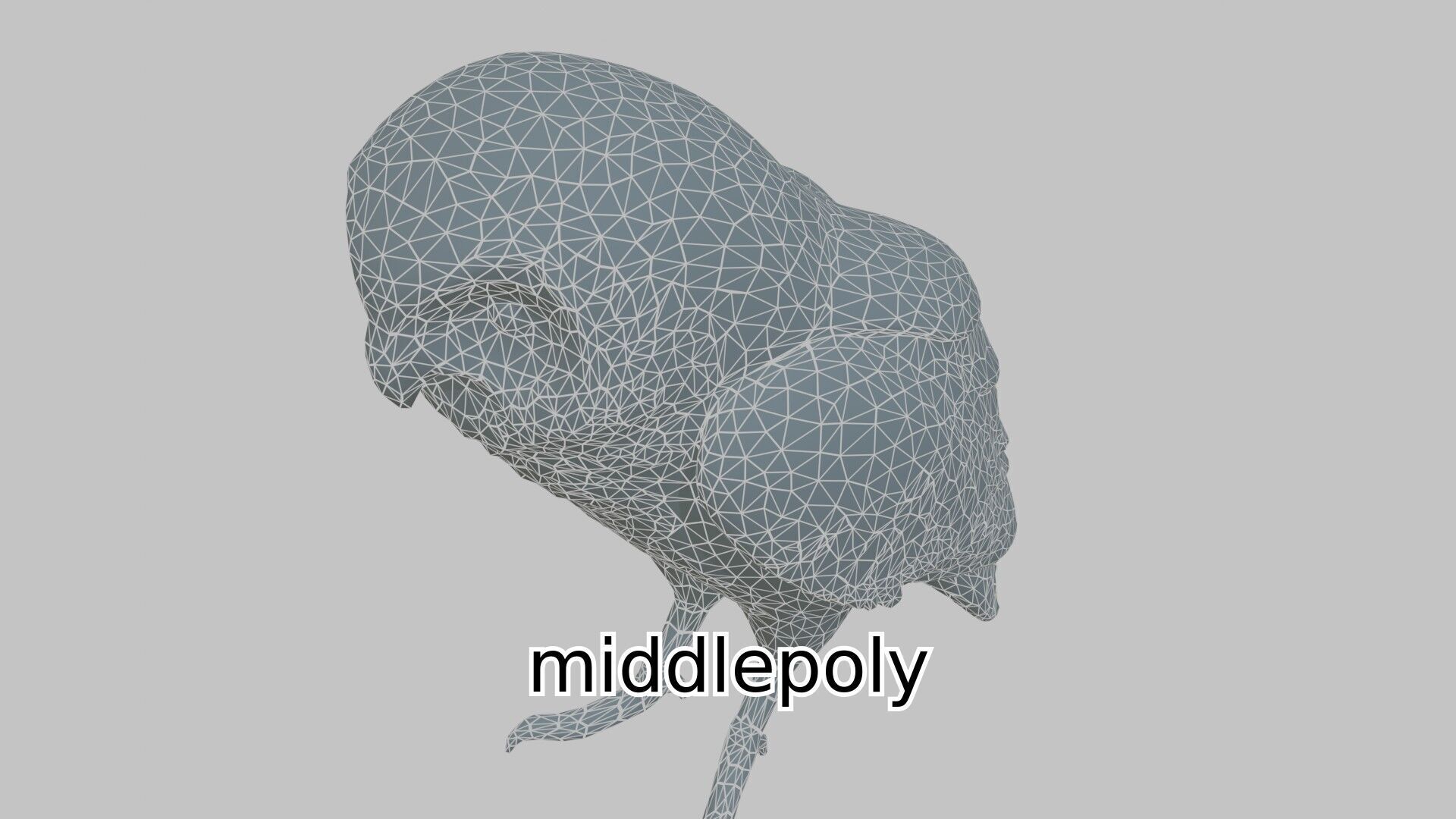 Realistic Owl Bird Character 3D Model Low-poly 3D model_6