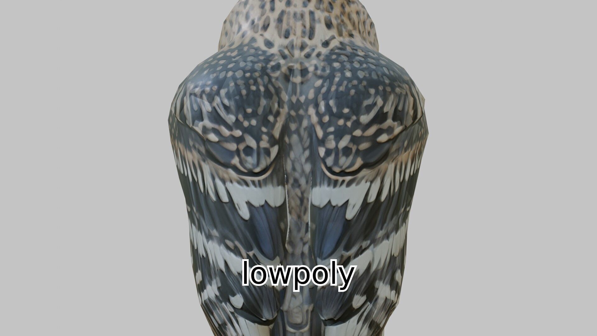 Realistic Owl Bird Character 3D Model Low-poly 3D model_18