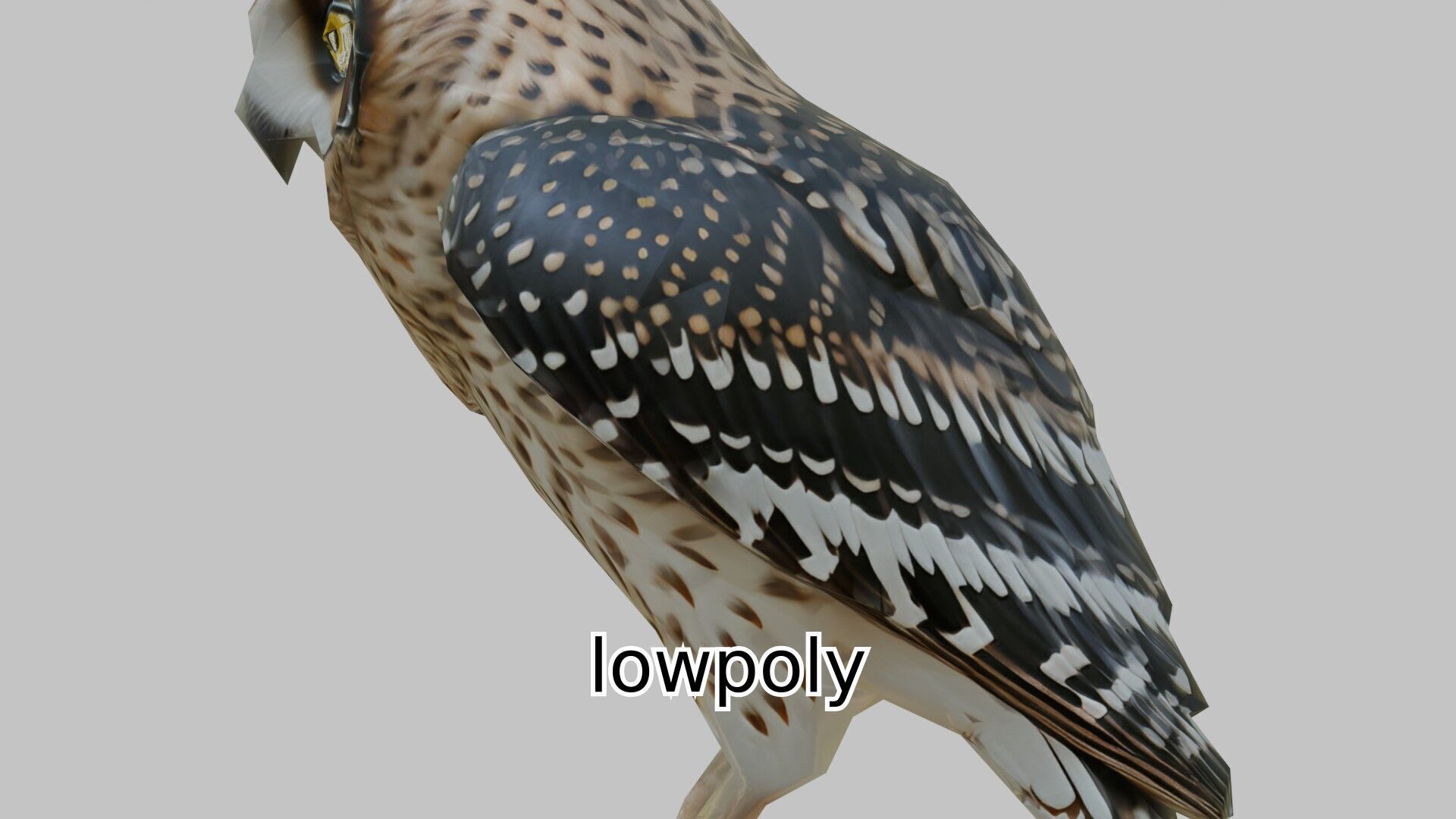 Realistic Owl Bird Character 3D Model Low-poly 3D model_17