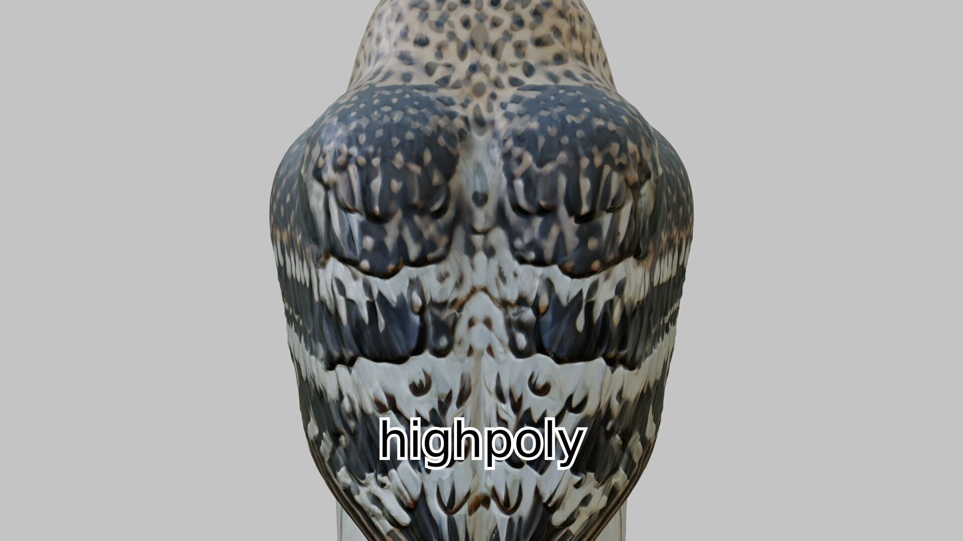 Realistic Owl Bird Character 3D Model Low-poly 3D model_10