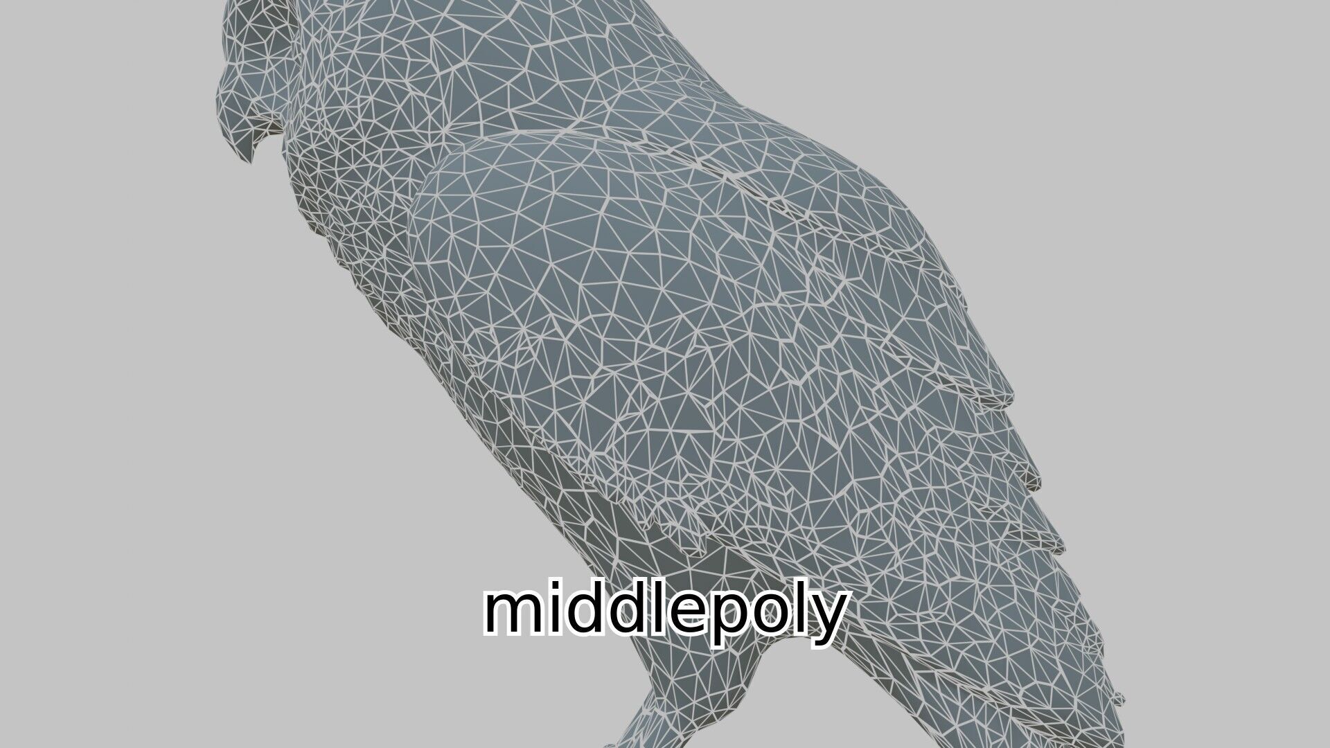 Realistic Owl Bird Character 3D Model Low-poly 3D model_4