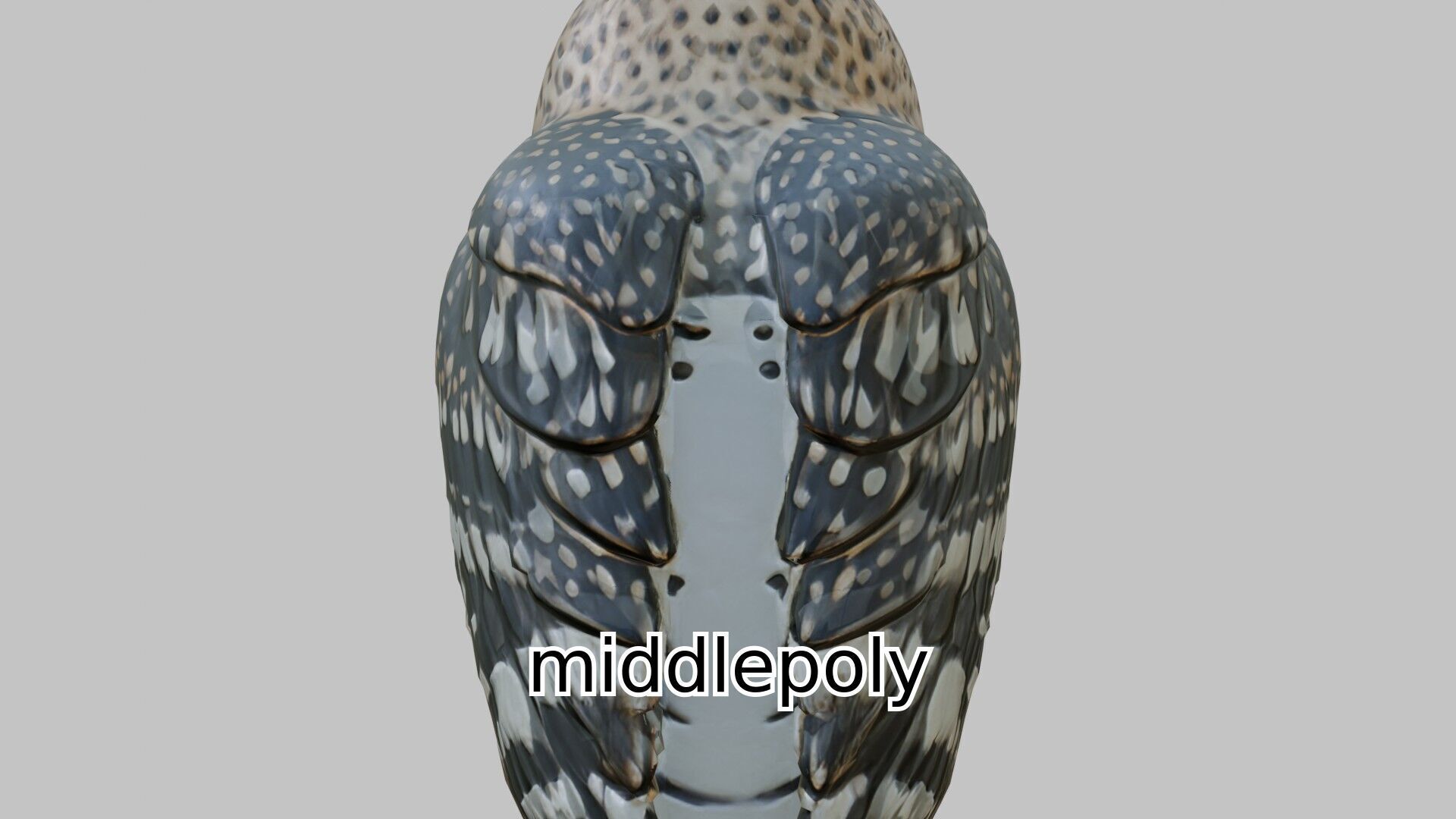 Realistic Owl Bird Character 3D Model Low-poly 3D model_2