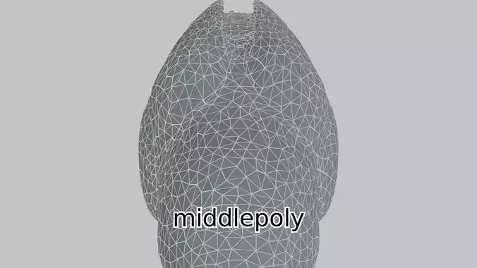 Realistic Owl Bird Character 3D Model Low-poly 3D model