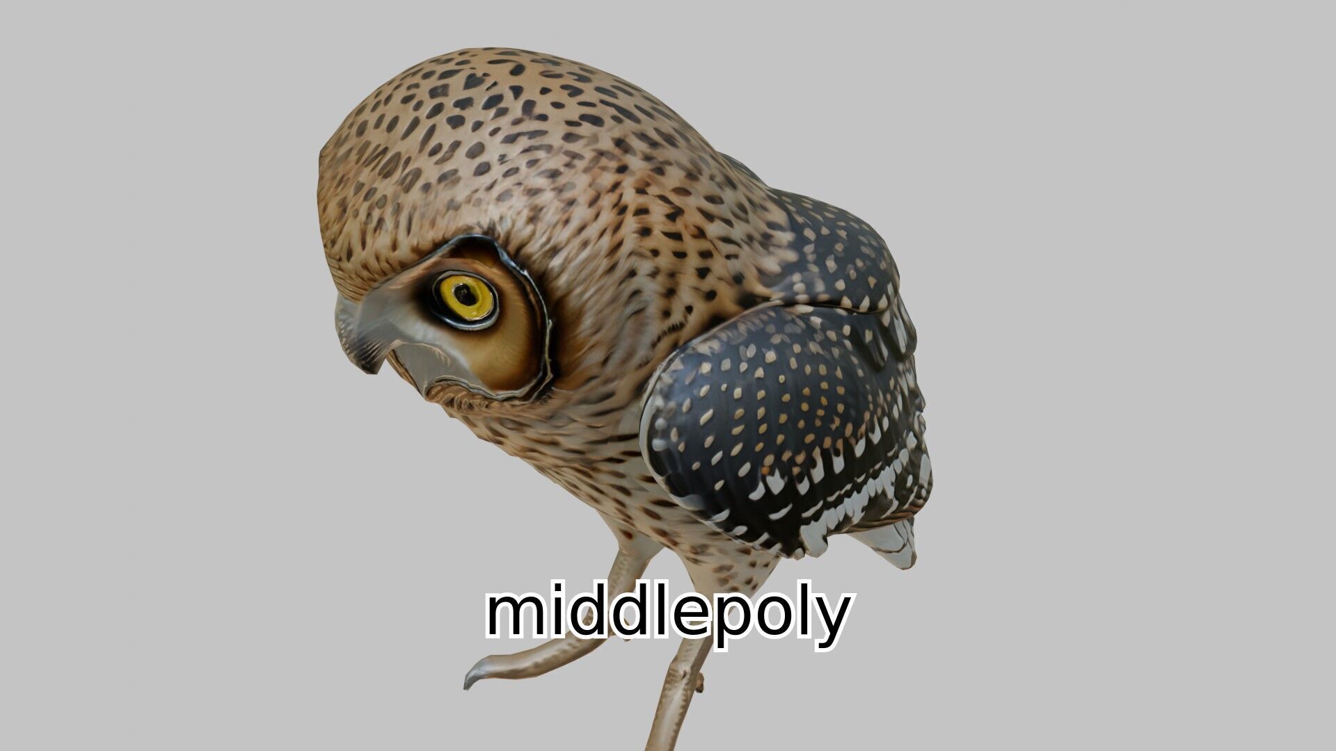 Realistic Owl Bird Character 3D Model Low-poly 3D model_7