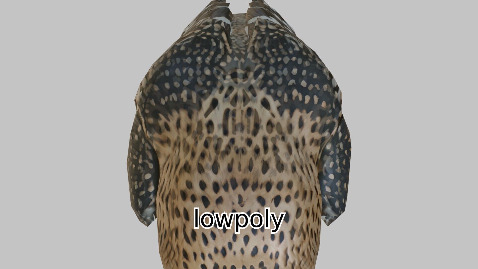 Realistic Owl Bird Character 3D Model Low-poly 3D model_11