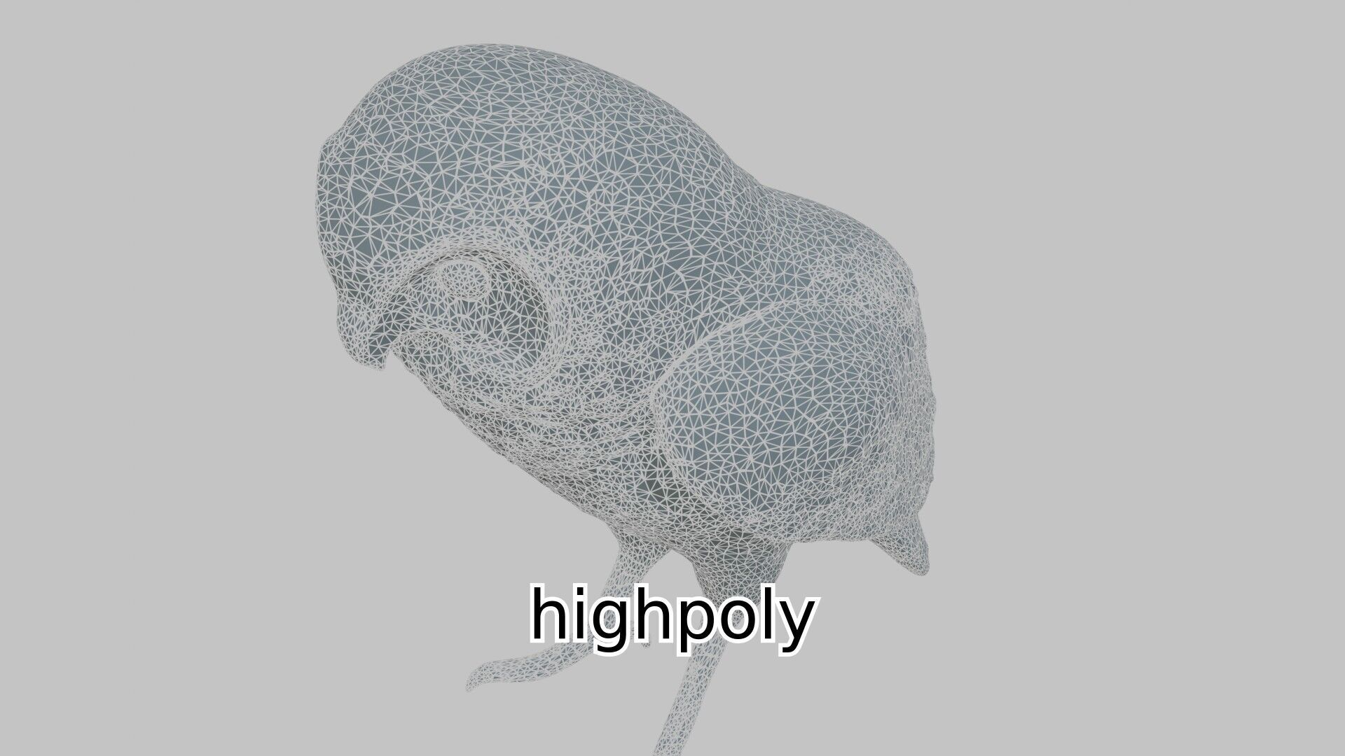 Realistic Owl Bird Character 3D Model Low-poly 3D model_15