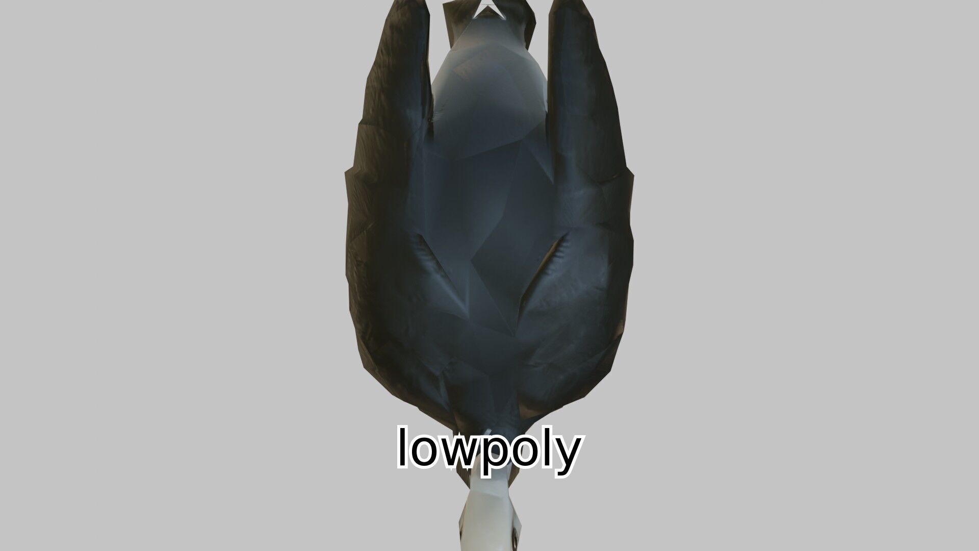 Realistic Ostrich 3D Model High Detail Rendering Low-poly 3D model_11