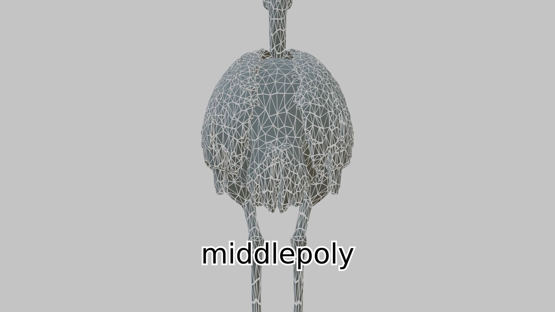 Realistic Ostrich 3D Model High Detail Rendering Low-poly 3D model_6