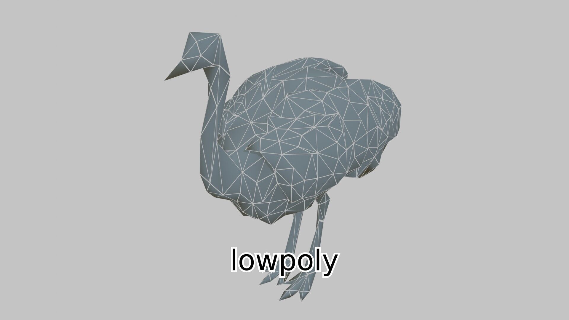 Realistic Ostrich 3D Model High Detail Rendering Low-poly 3D model_23