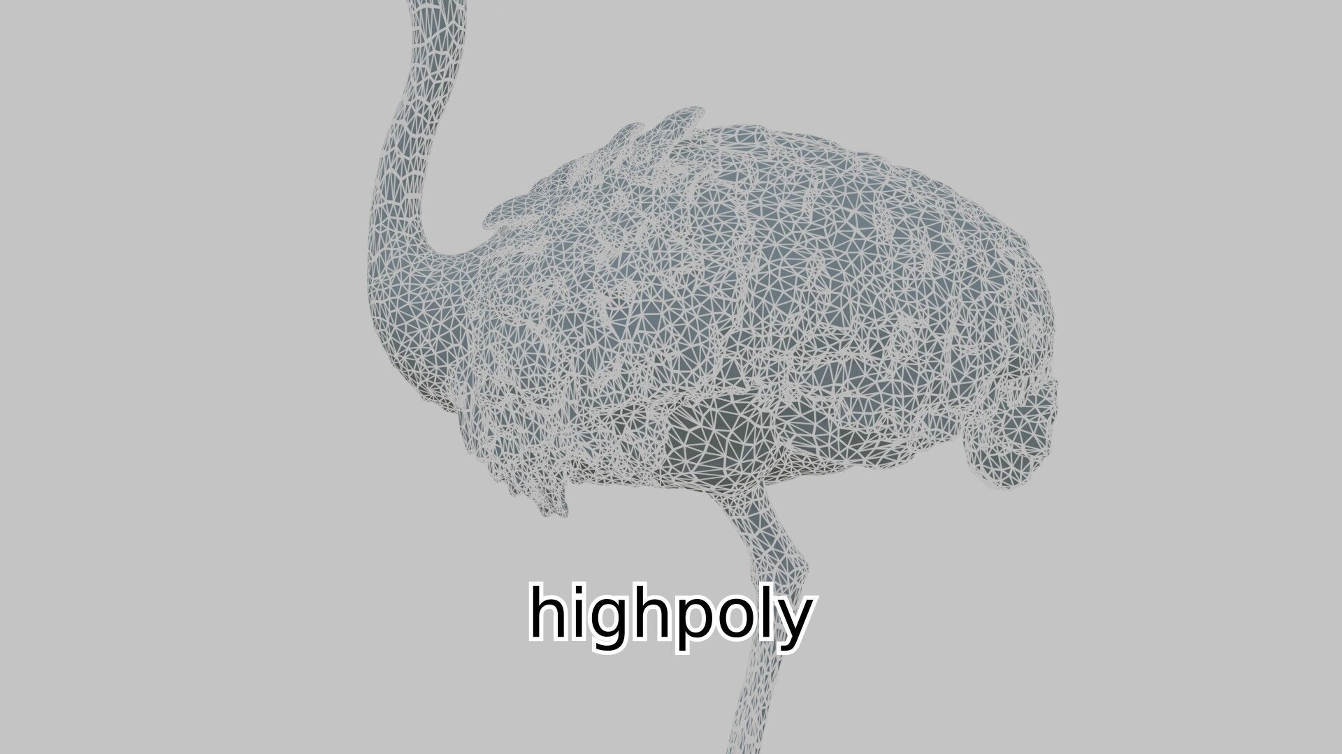 Realistic Ostrich 3D Model High Detail Rendering Low-poly 3D model_14