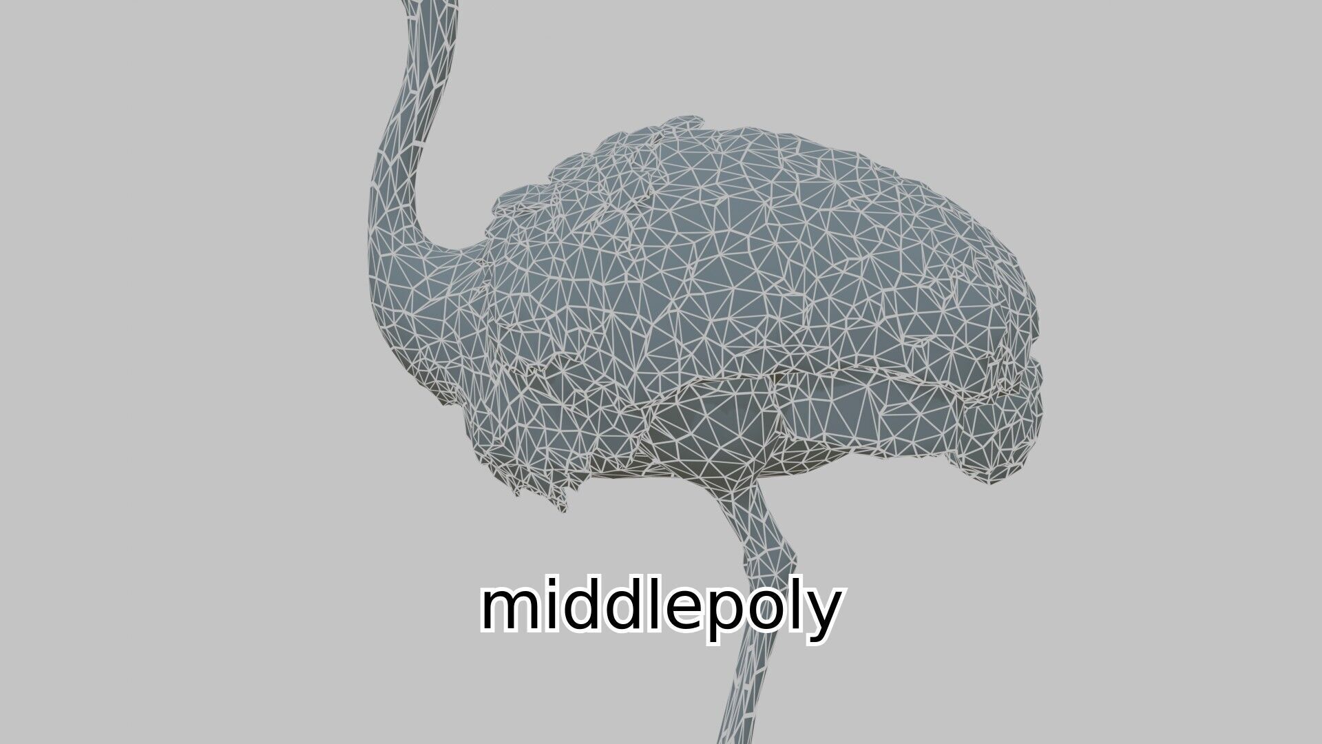 Realistic Ostrich 3D Model High Detail Rendering Low-poly 3D model_5