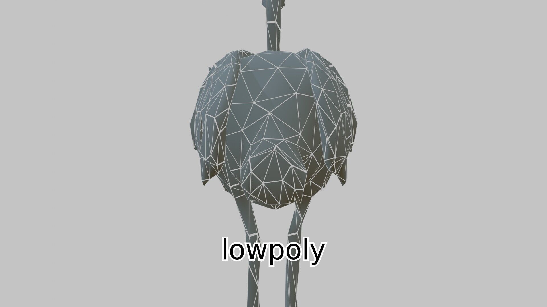 Realistic Ostrich 3D Model High Detail Rendering Low-poly 3D model_20
