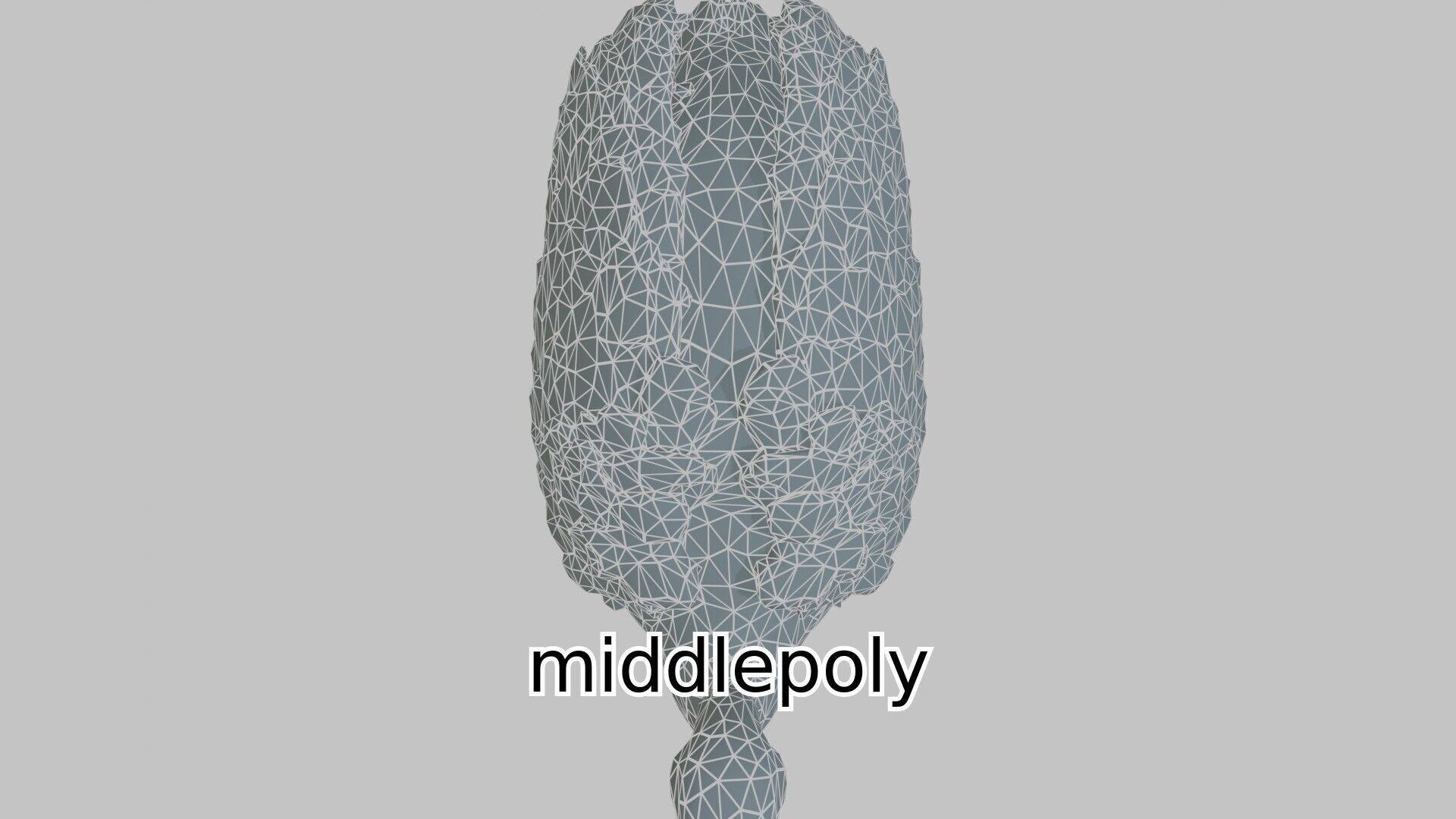 Realistic Ostrich 3D Model High Detail Rendering Low-poly 3D model_1