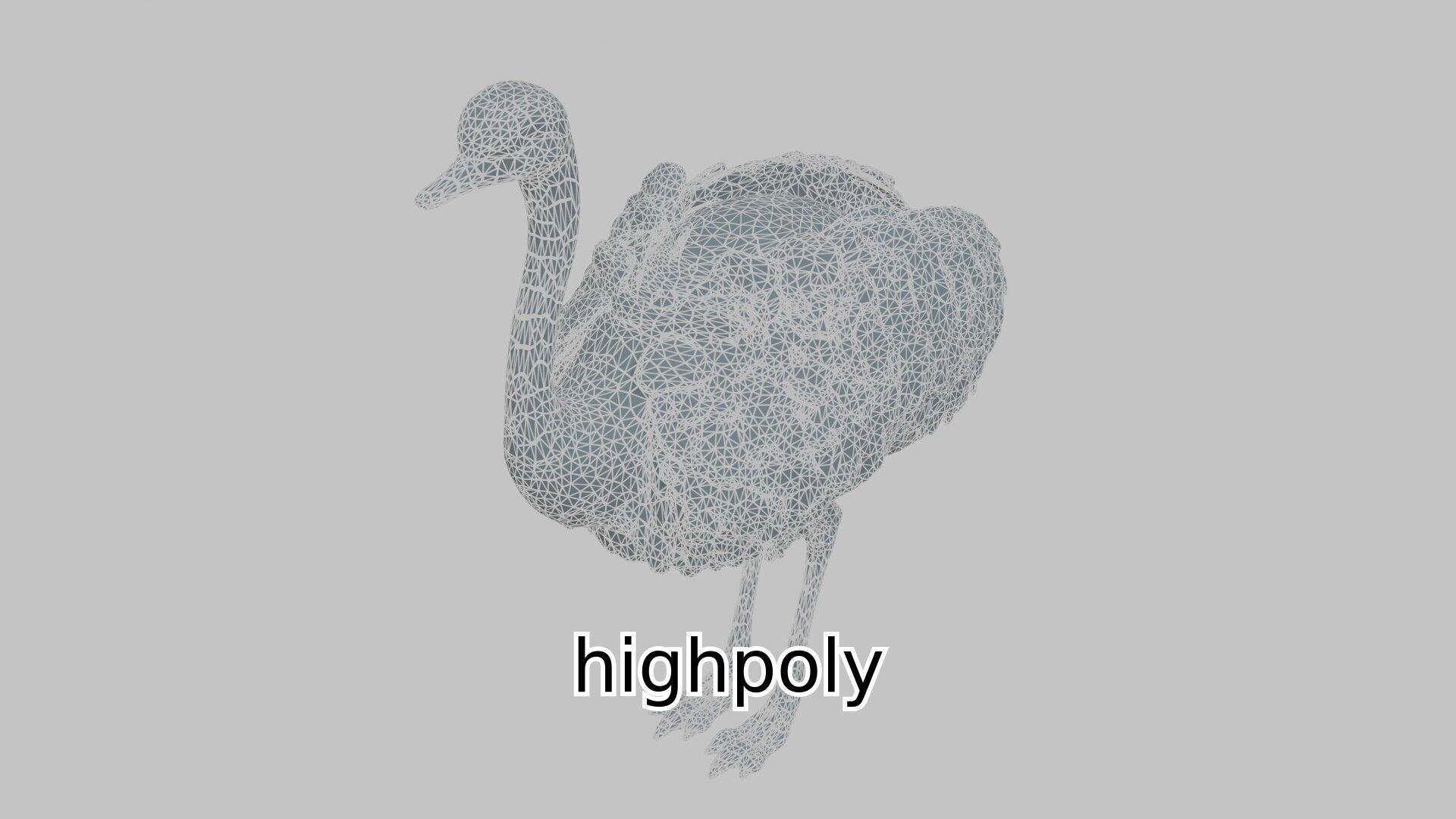 Realistic Ostrich 3D Model High Detail Rendering Low-poly 3D model_16