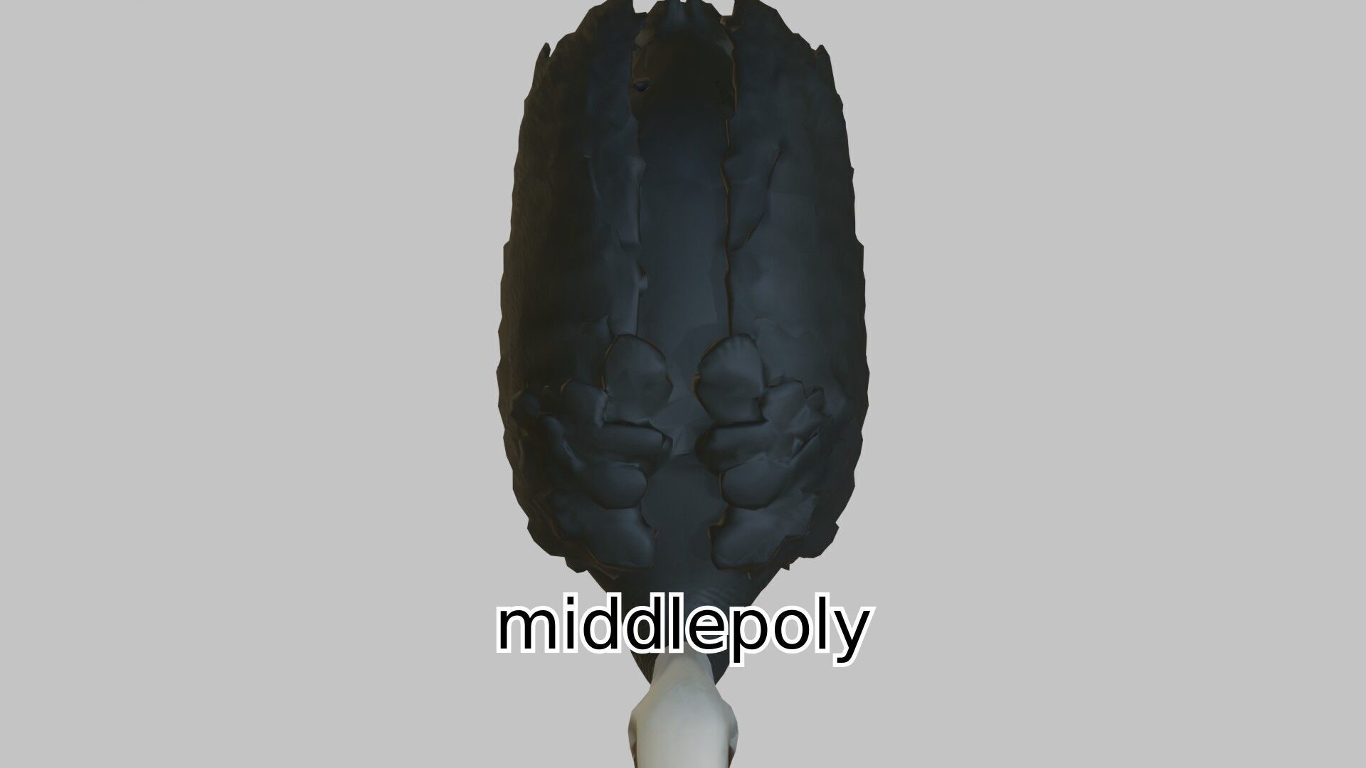 Realistic Ostrich 3D Model High Detail Rendering Low-poly 3D model_24