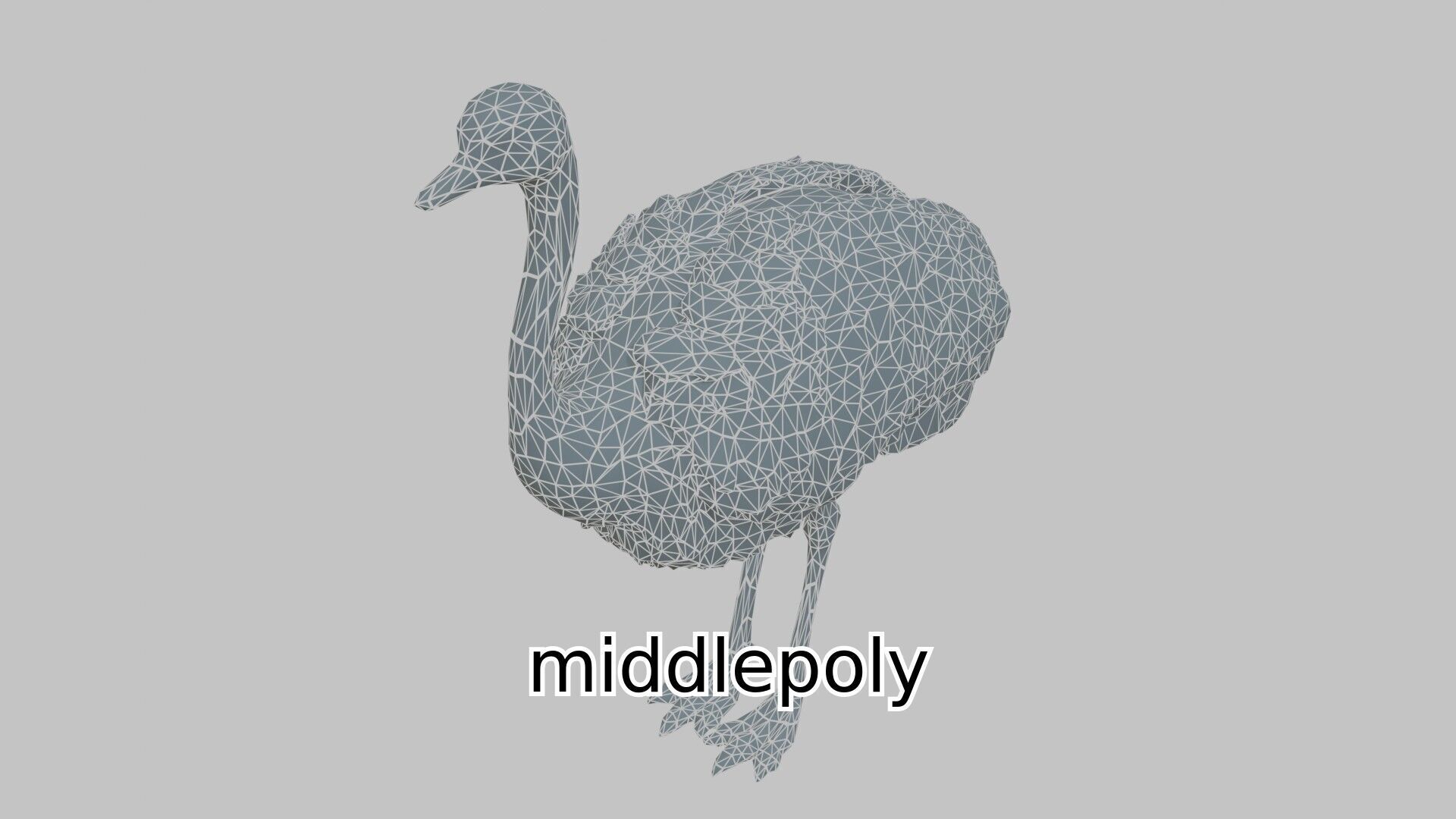 Realistic Ostrich 3D Model High Detail Rendering Low-poly 3D model_7