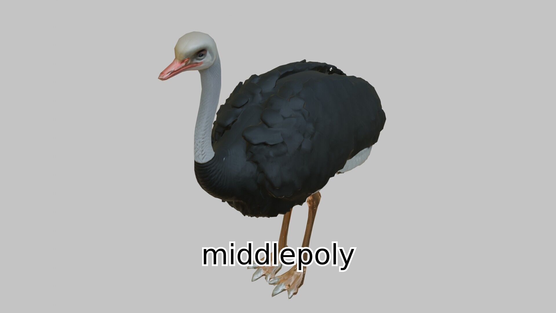 Realistic Ostrich 3D Model High Detail Rendering Low-poly 3D model_4