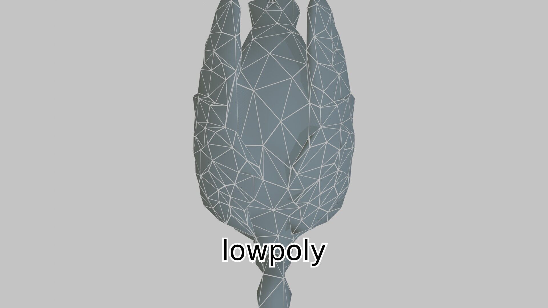 Realistic Ostrich 3D Model High Detail Rendering Low-poly 3D model_18