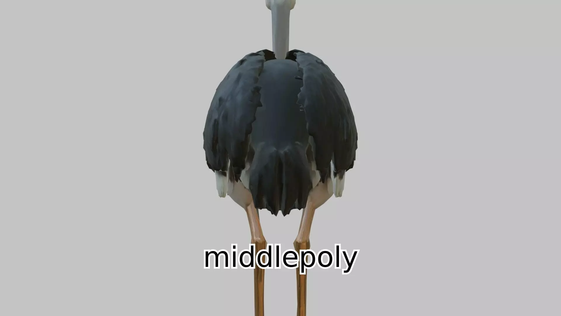 Realistic Ostrich 3D Model High Detail Rendering Low-poly 3D model_0