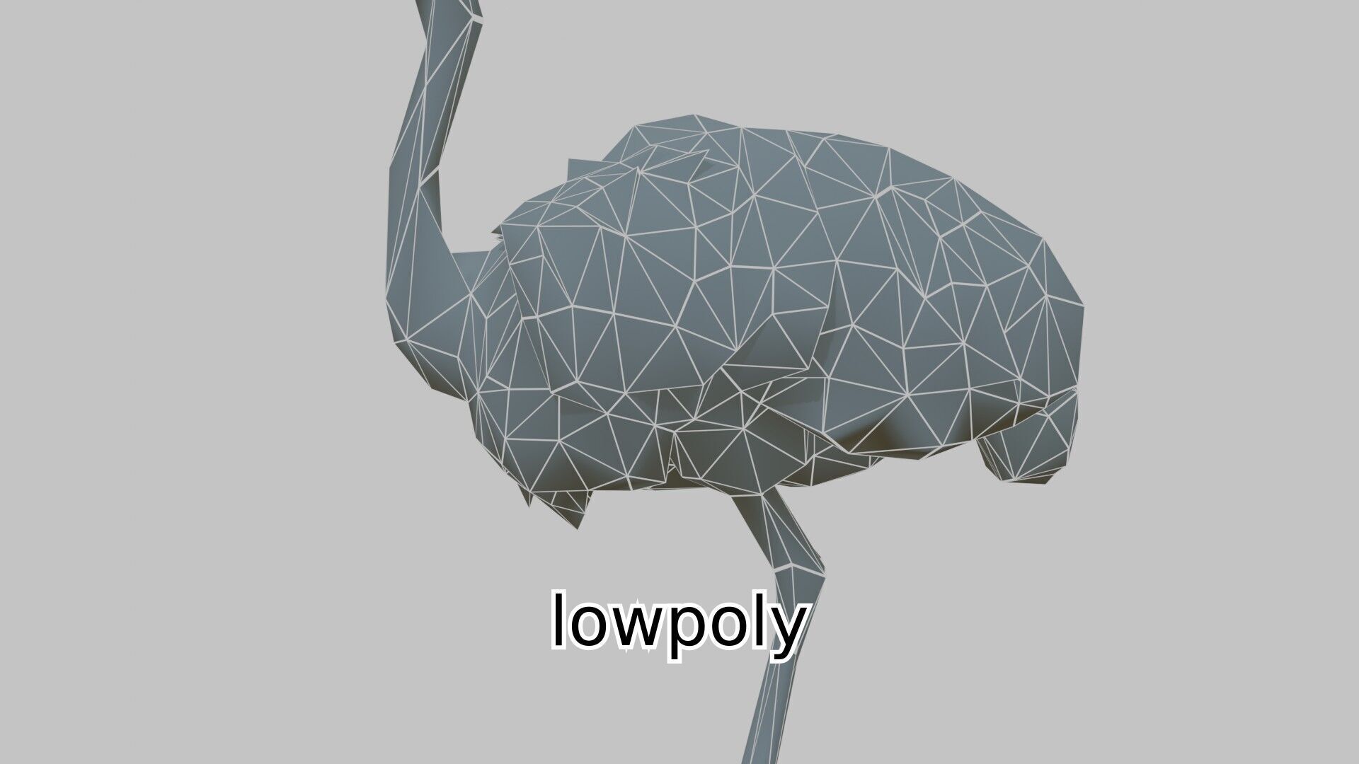 Realistic Ostrich 3D Model High Detail Rendering Low-poly 3D model_19