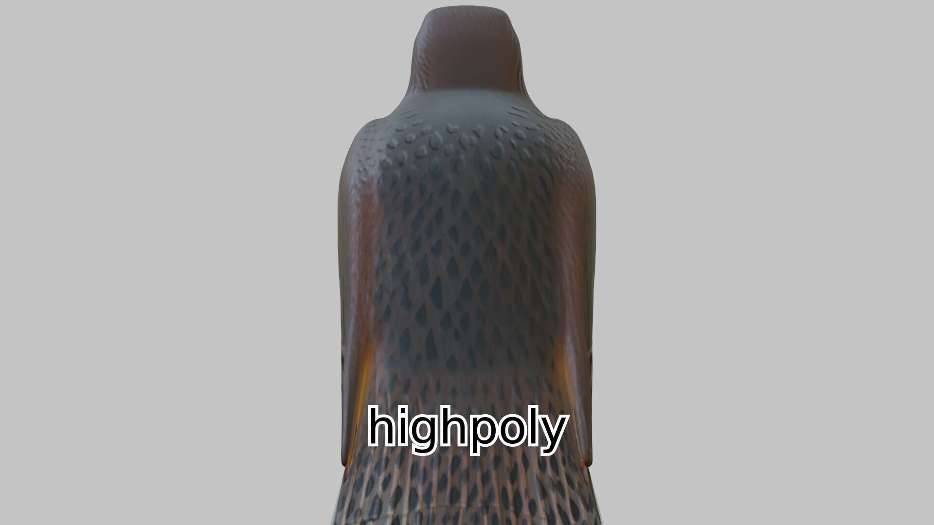 Realistic Falcon Bird 3D Model Low-poly 3D model_10