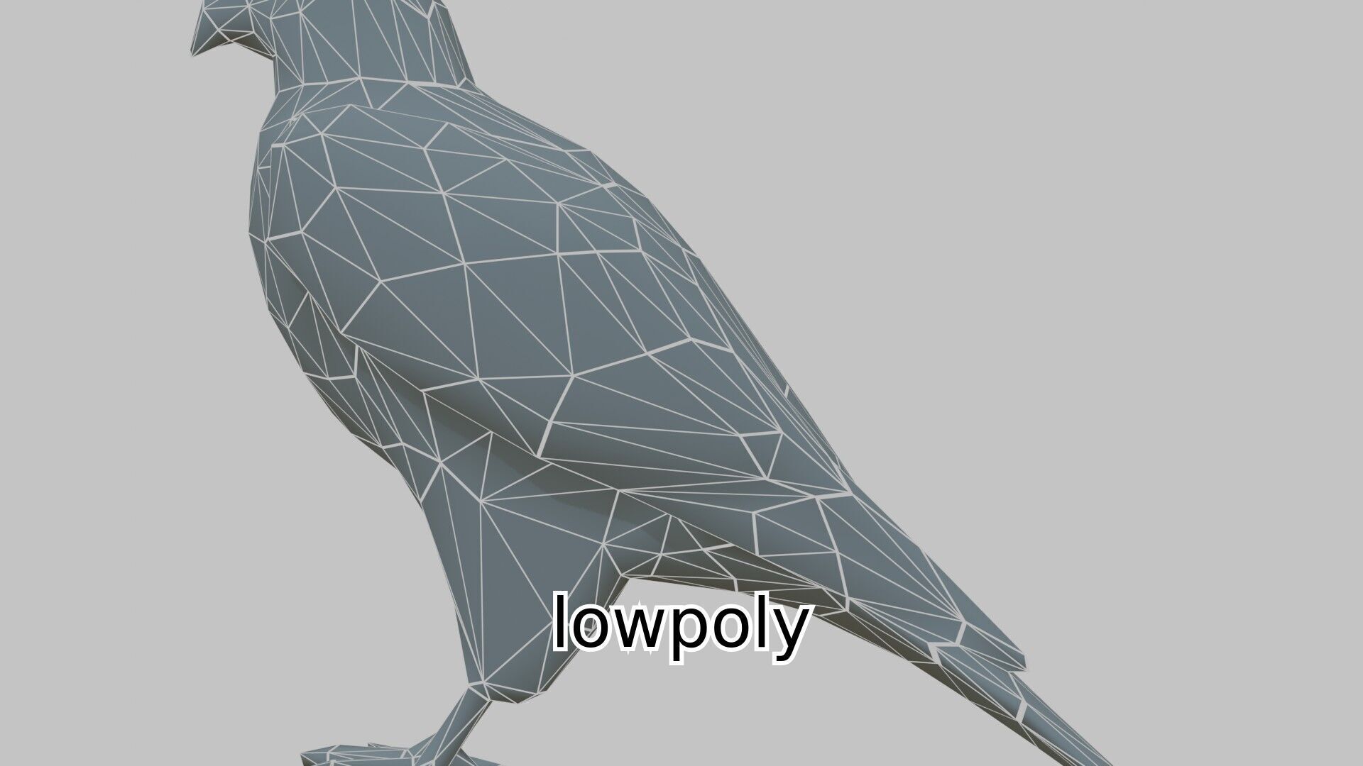 Realistic Falcon Bird 3D Model Low-poly 3D model_21