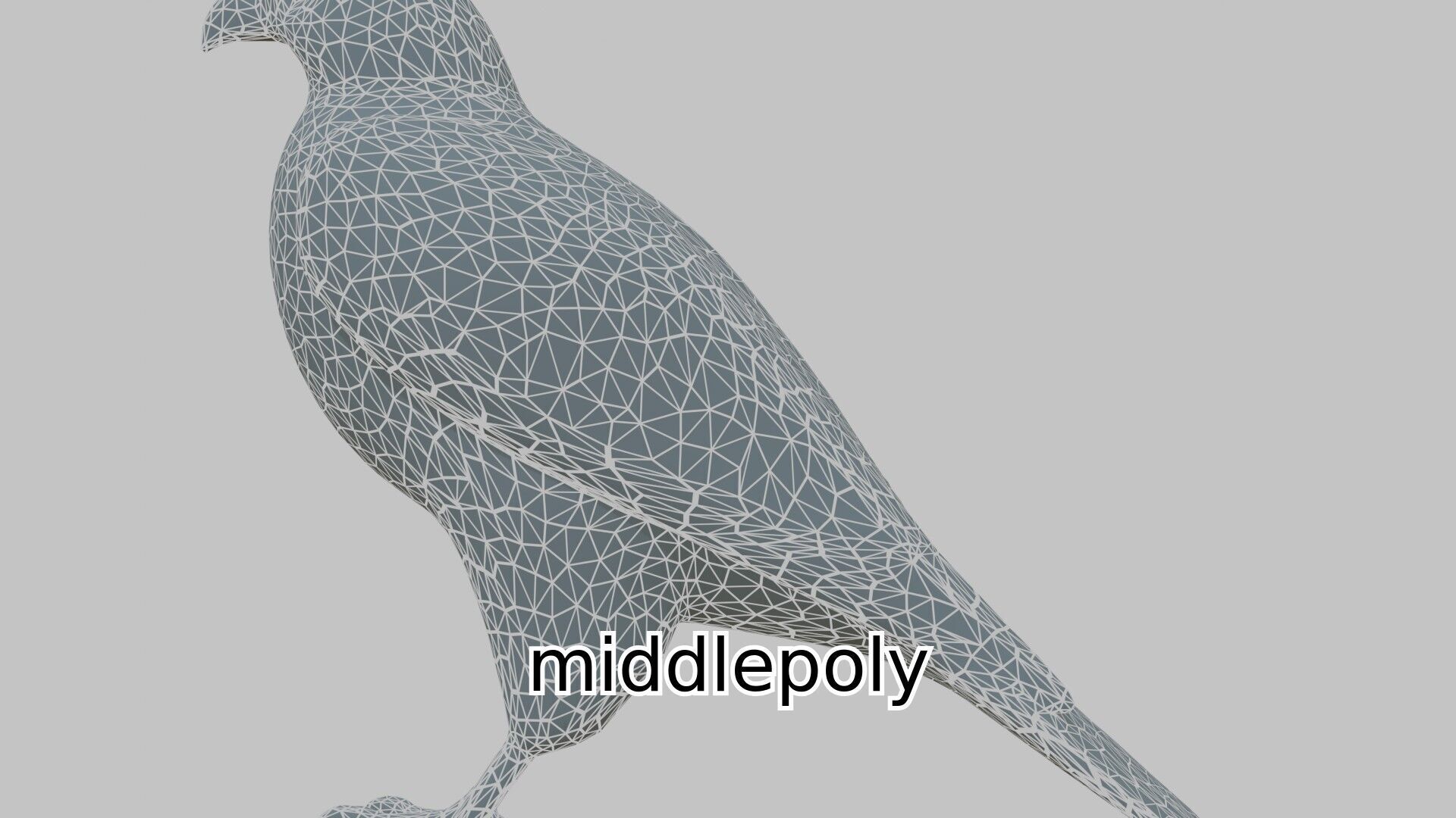 Realistic Falcon Bird 3D Model Low-poly 3D model_5