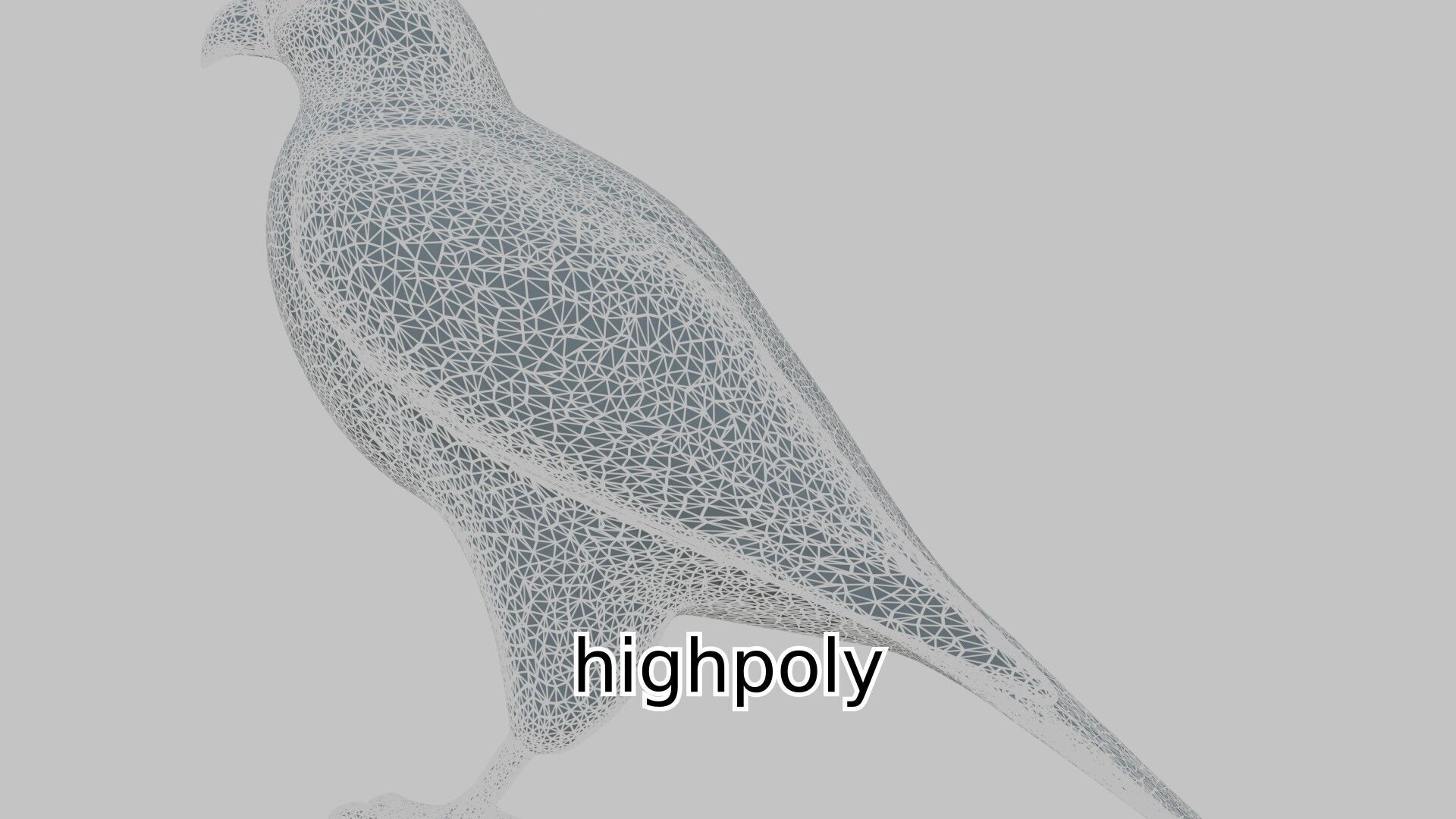 Realistic Falcon Bird 3D Model Low-poly 3D model_14