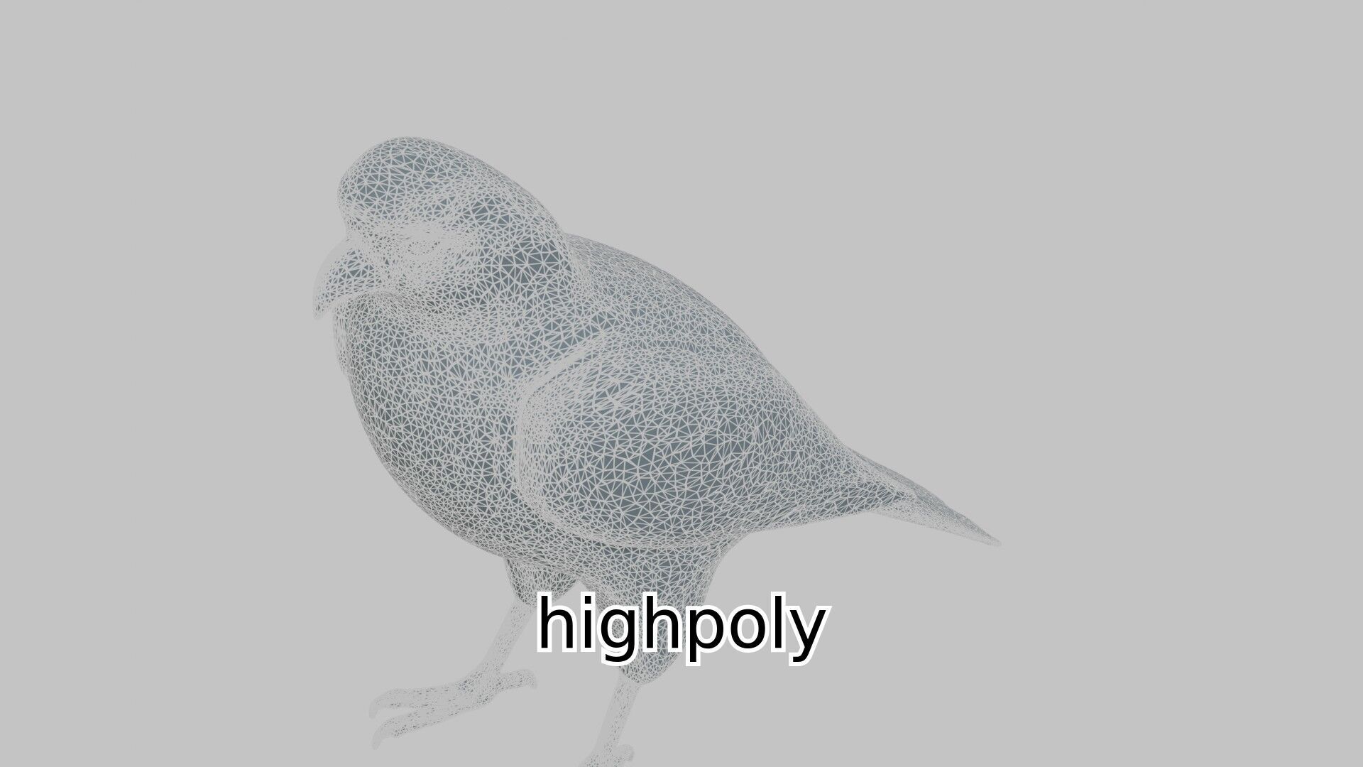 Realistic Falcon Bird 3D Model Low-poly 3D model_16