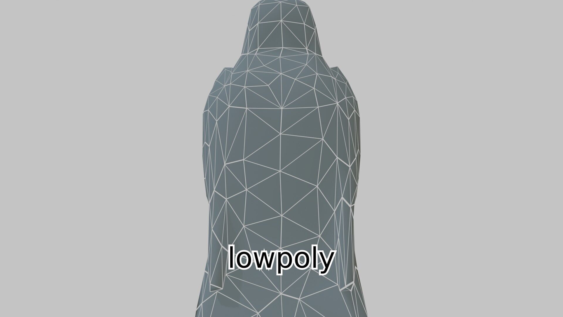 Realistic Falcon Bird 3D Model Low-poly 3D model_22