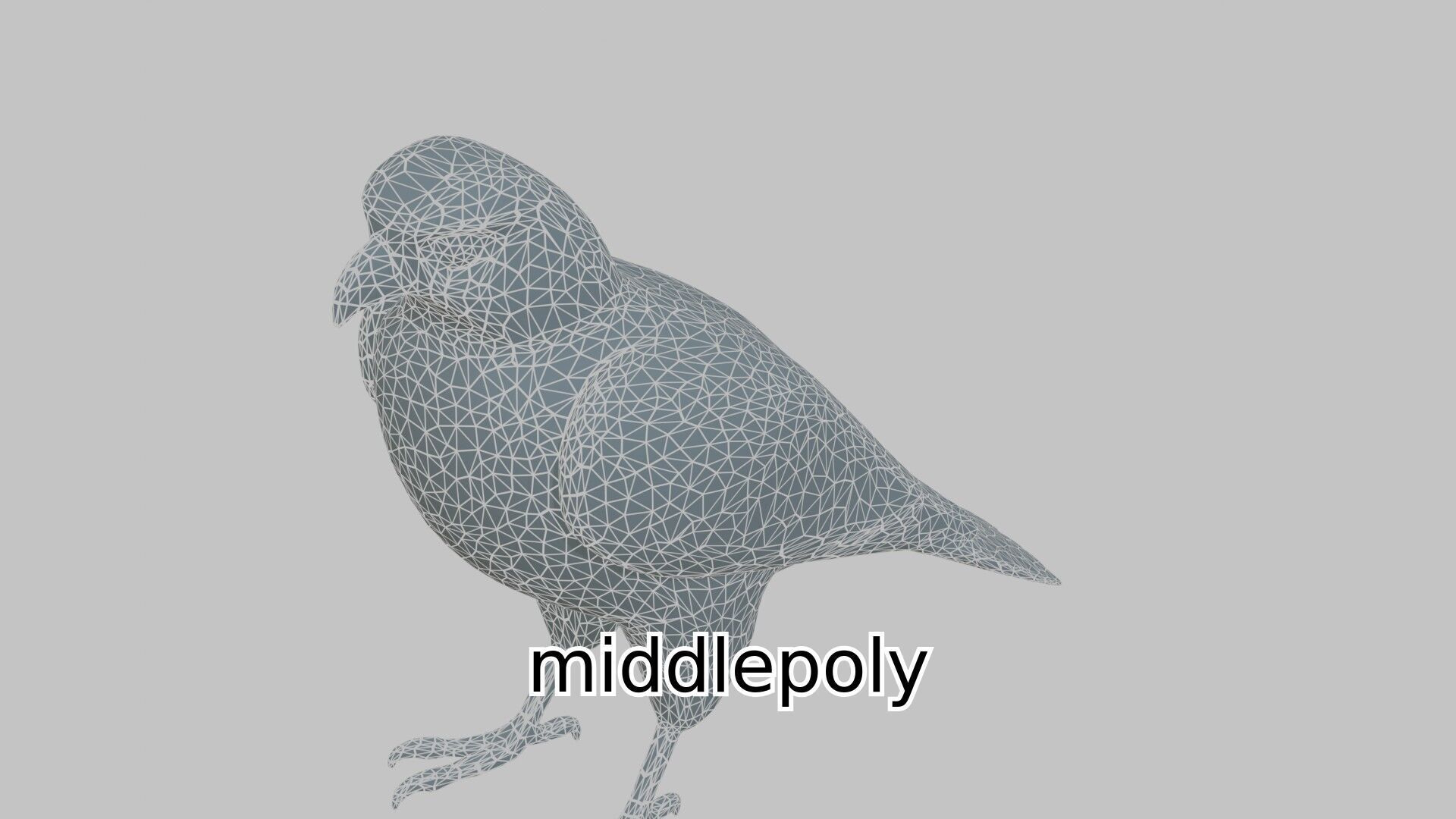 Realistic Falcon Bird 3D Model Low-poly 3D model_7