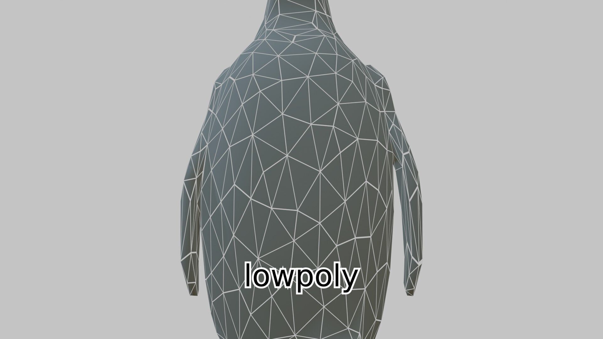 Realistic Emperor Penguin 3D Model for CGI and Games Low-poly 3D model_21