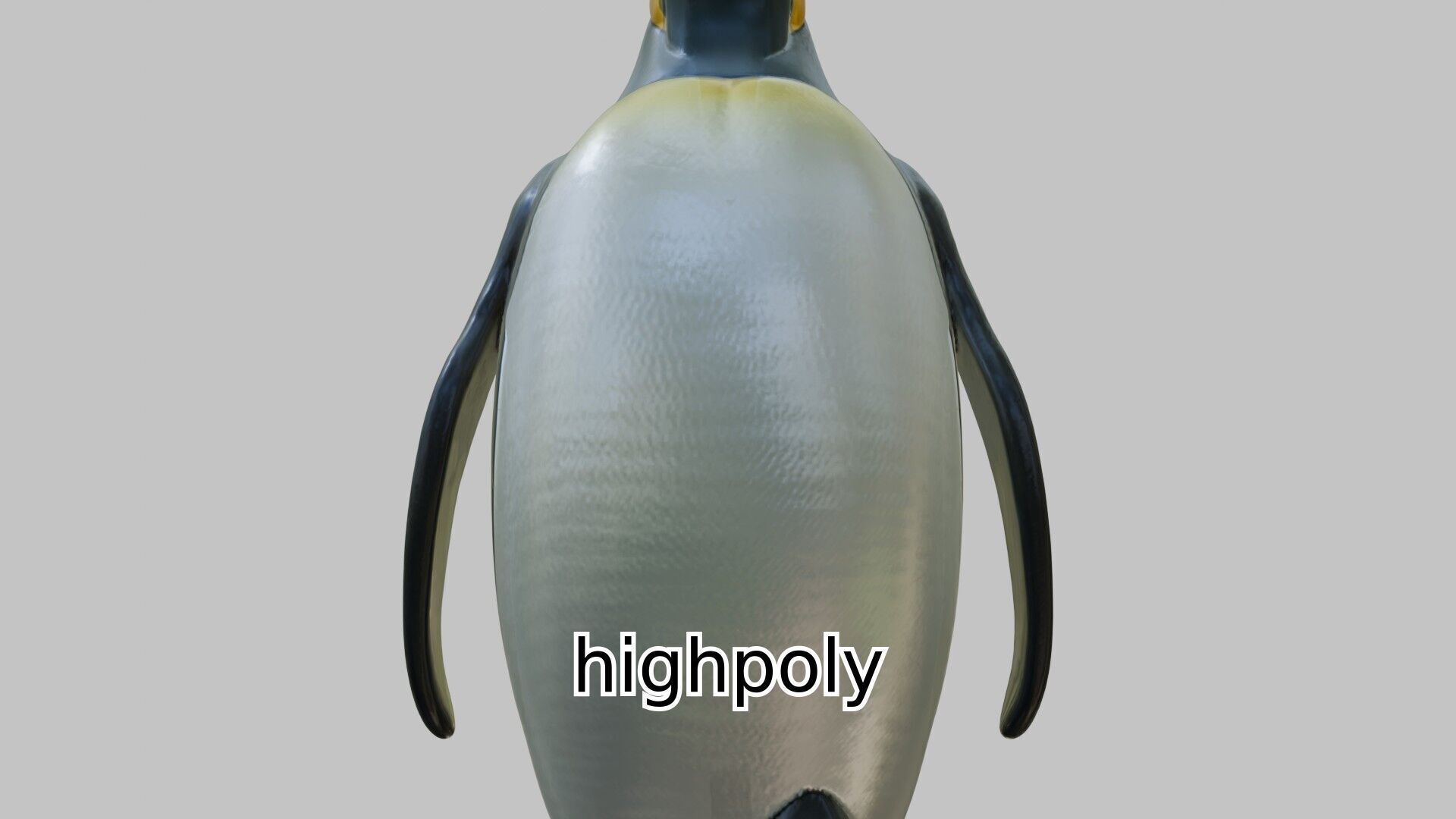 Realistic Emperor Penguin 3D Model for CGI and Games Low-poly 3D model_10