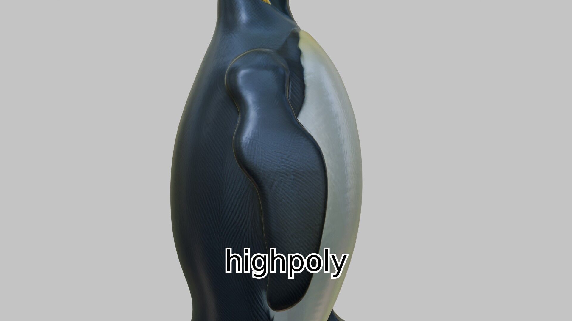 Realistic Emperor Penguin 3D Model for CGI and Games Low-poly 3D model_9
