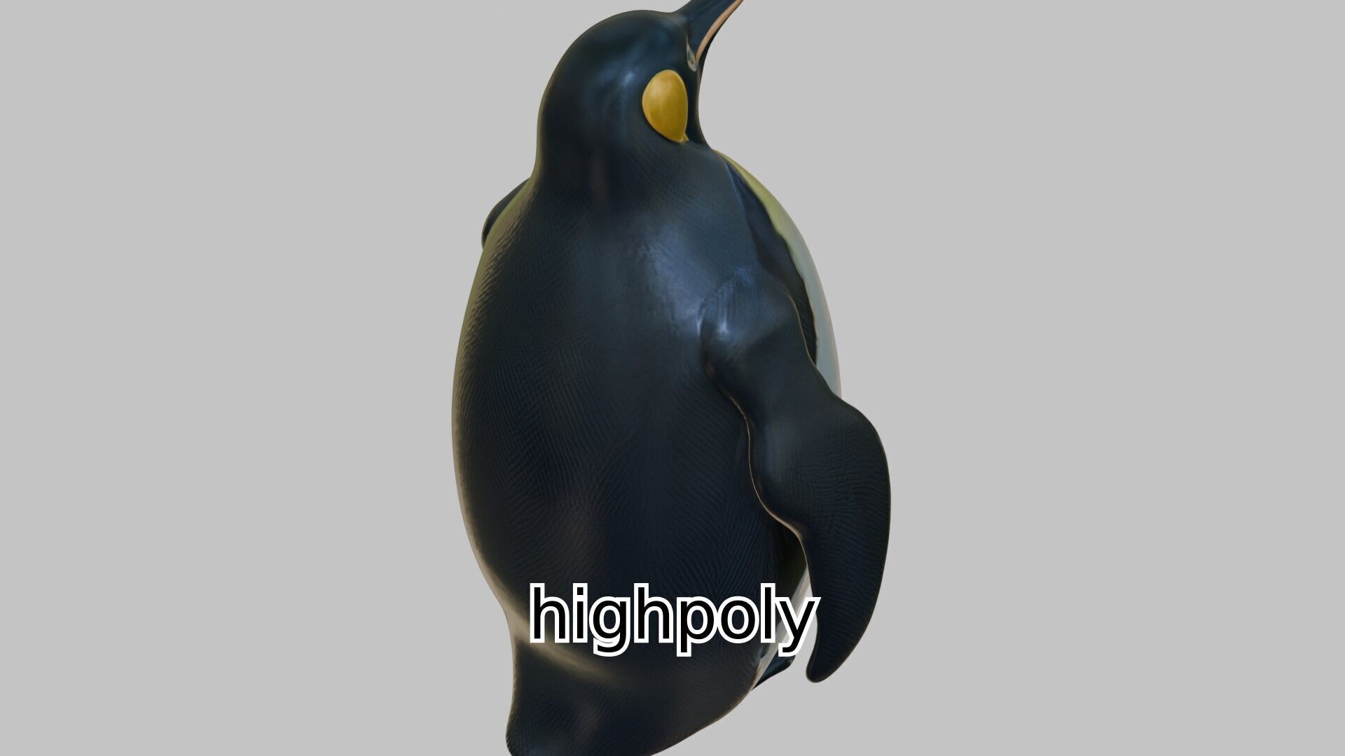 Realistic Emperor Penguin 3D Model for CGI and Games Low-poly 3D model_16