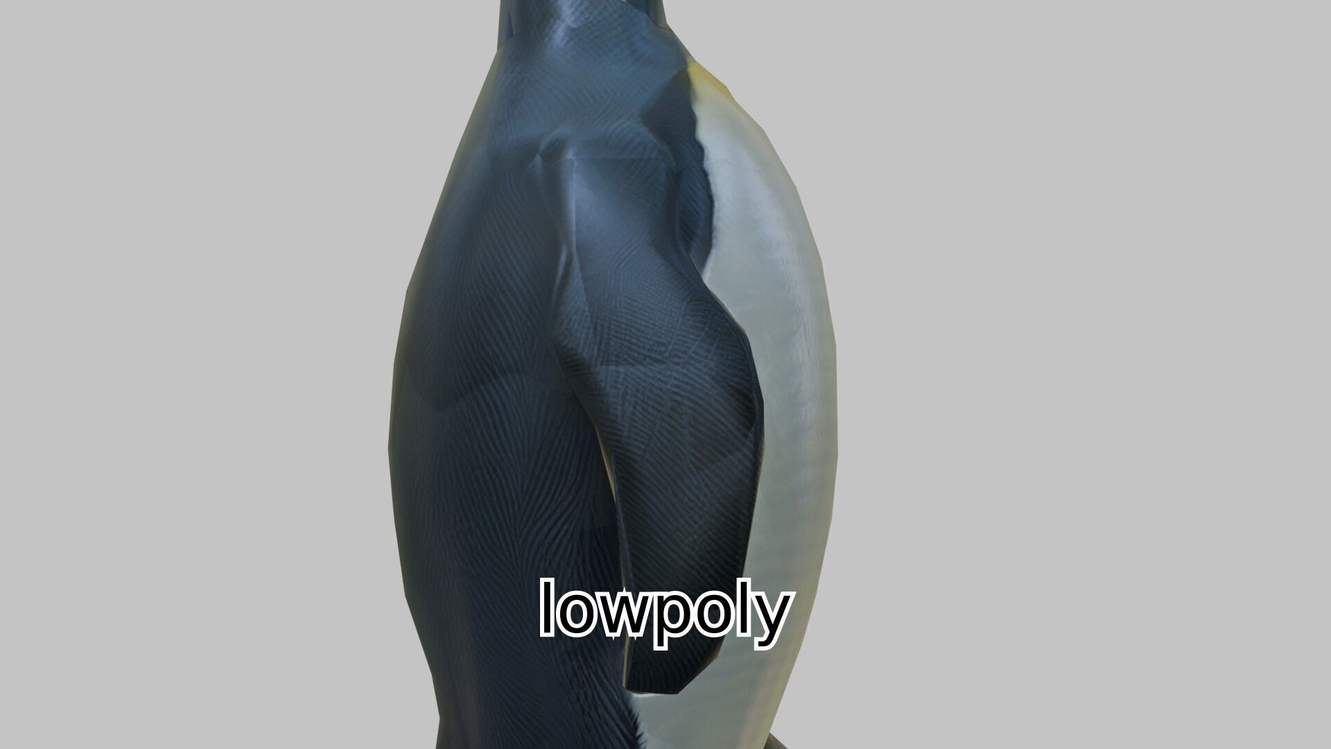Realistic Emperor Penguin 3D Model for CGI and Games Low-poly 3D model_17