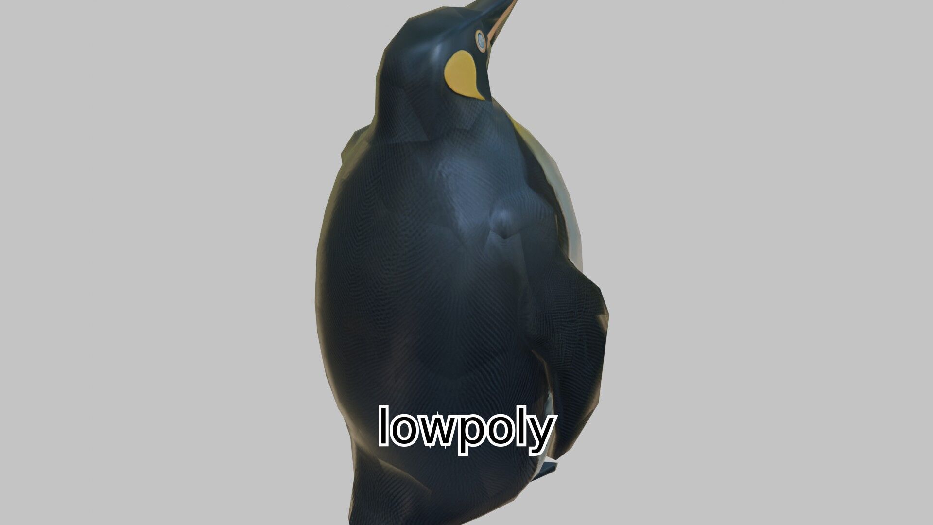Realistic Emperor Penguin 3D Model for CGI and Games Low-poly 3D model_23