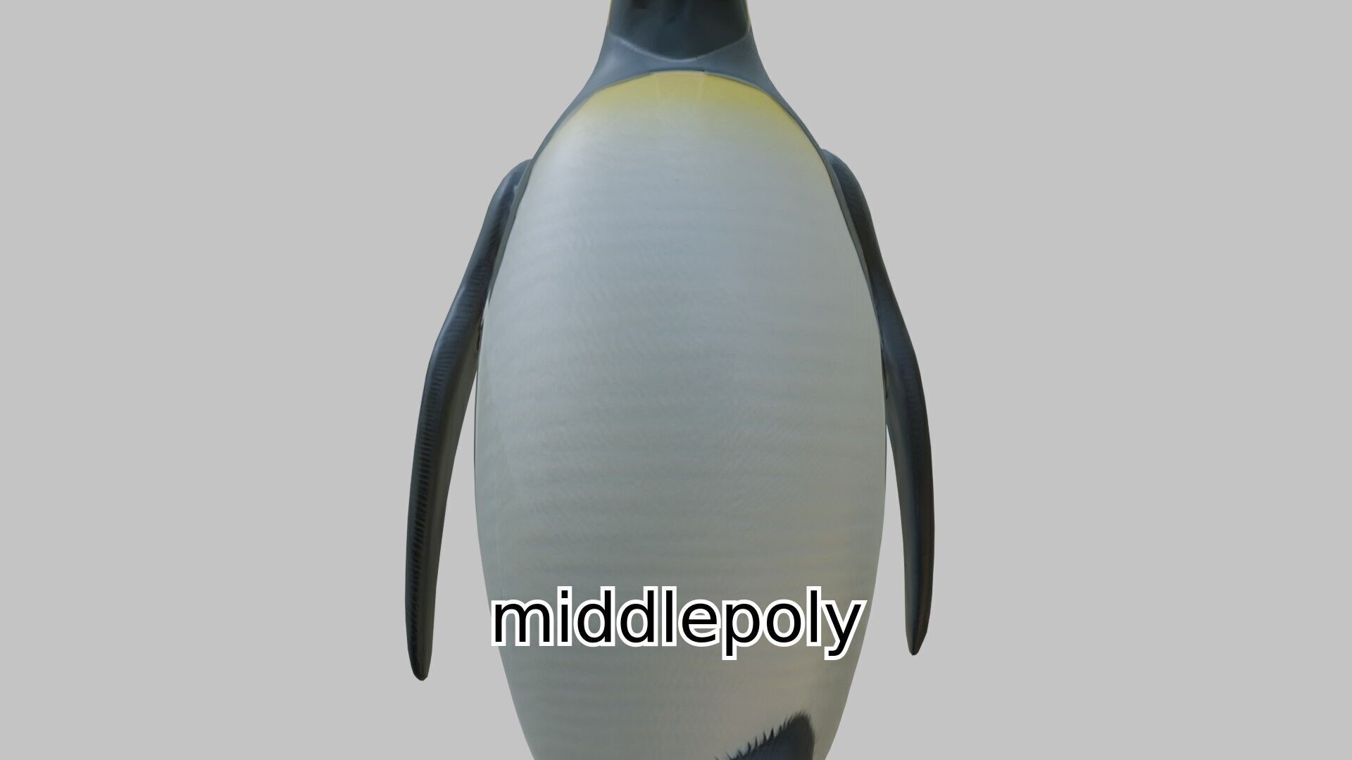 Realistic Emperor Penguin 3D Model for CGI and Games Low-poly 3D model_2