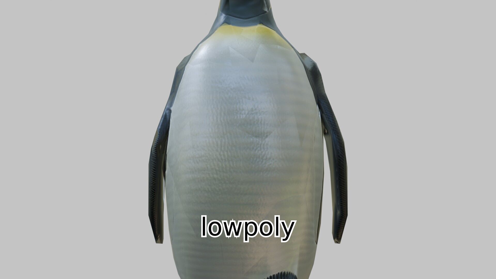 Realistic Emperor Penguin 3D Model for CGI and Games Low-poly 3D model_18